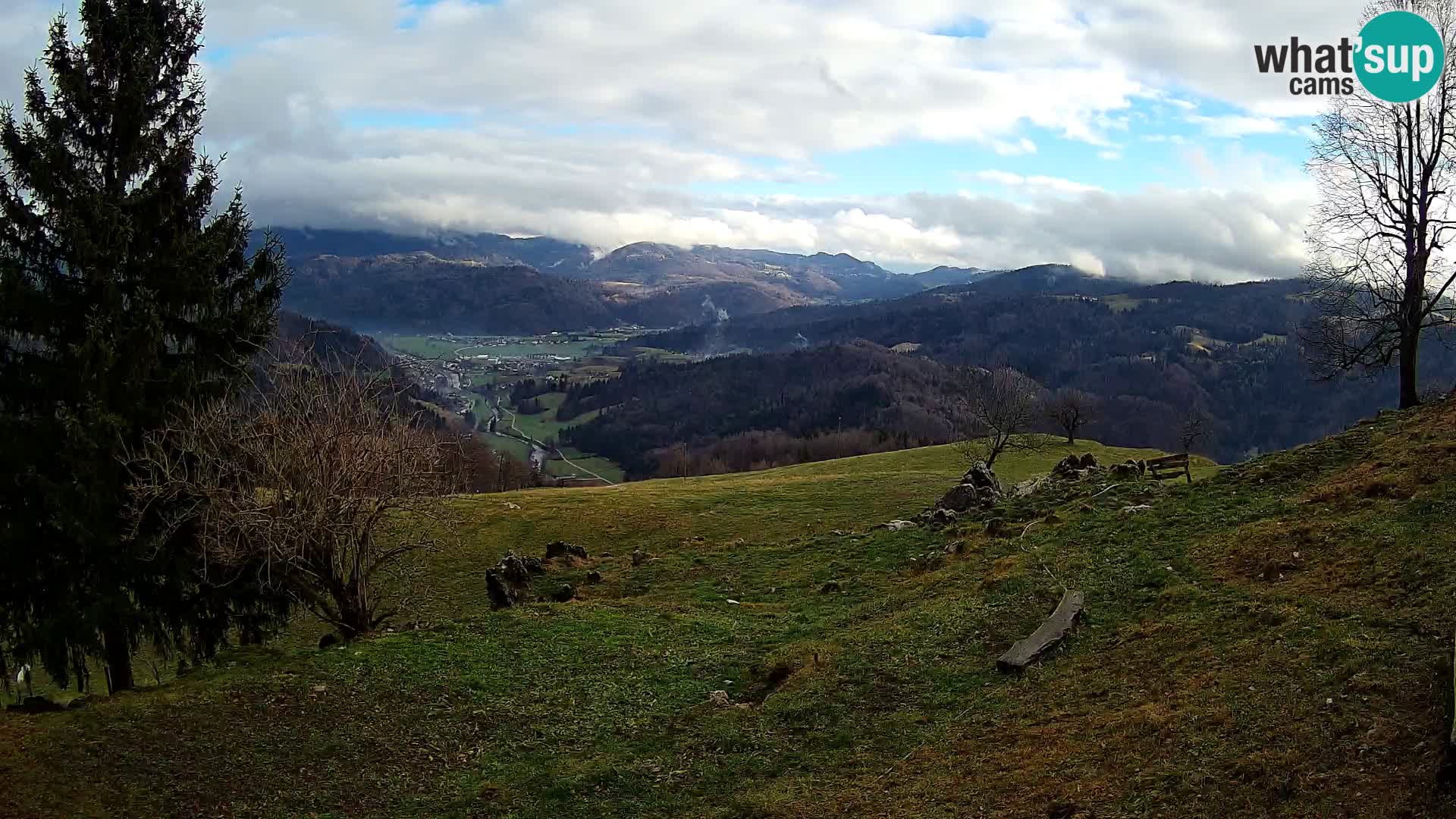 Slajka livecam | Gorenja Vas | Slovénie