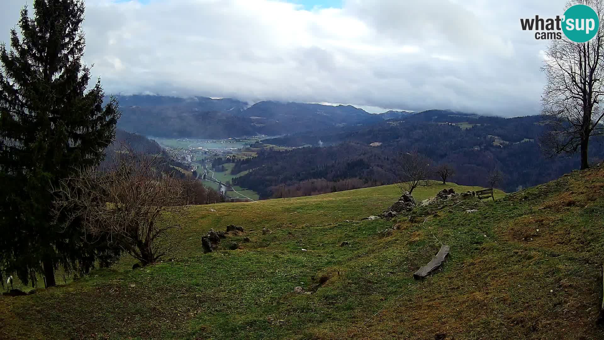 Slajka livecam | Gorenja Vas | Slovénie