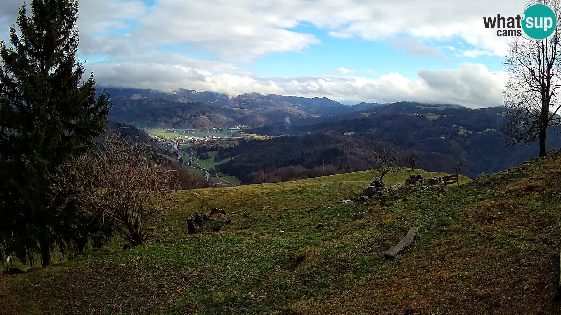 Slajka camera en vivo | Gorenja Vas | Eslovenia