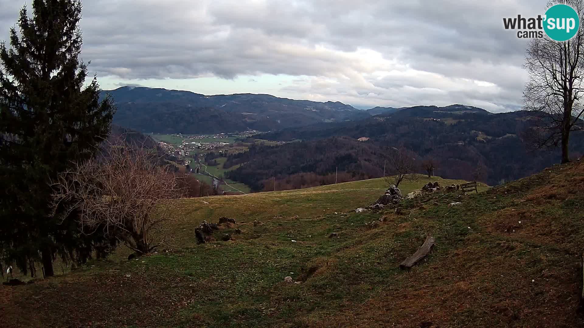 Slajka camera en vivo | Gorenja Vas | Eslovenia