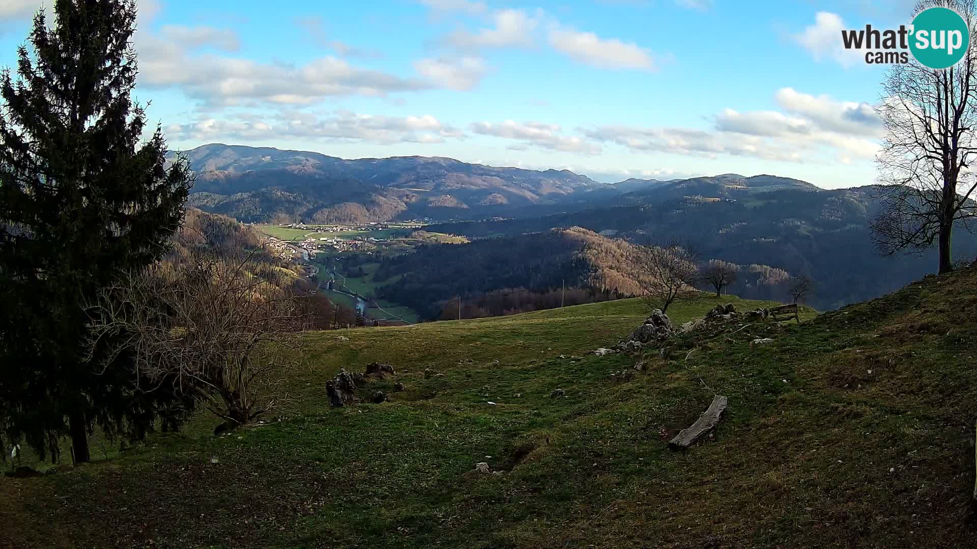 Slajka camera en vivo | Gorenja Vas | Eslovenia