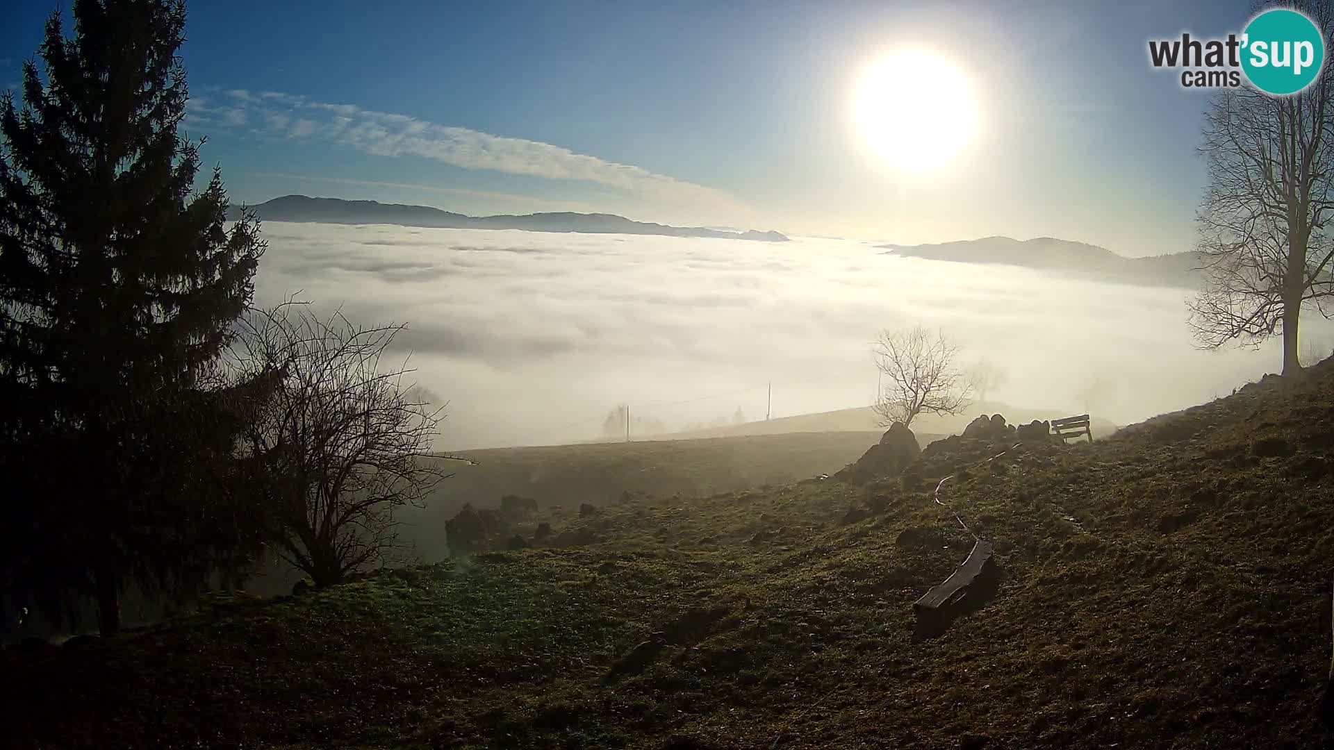 Slajka camera en vivo | Gorenja Vas | Eslovenia