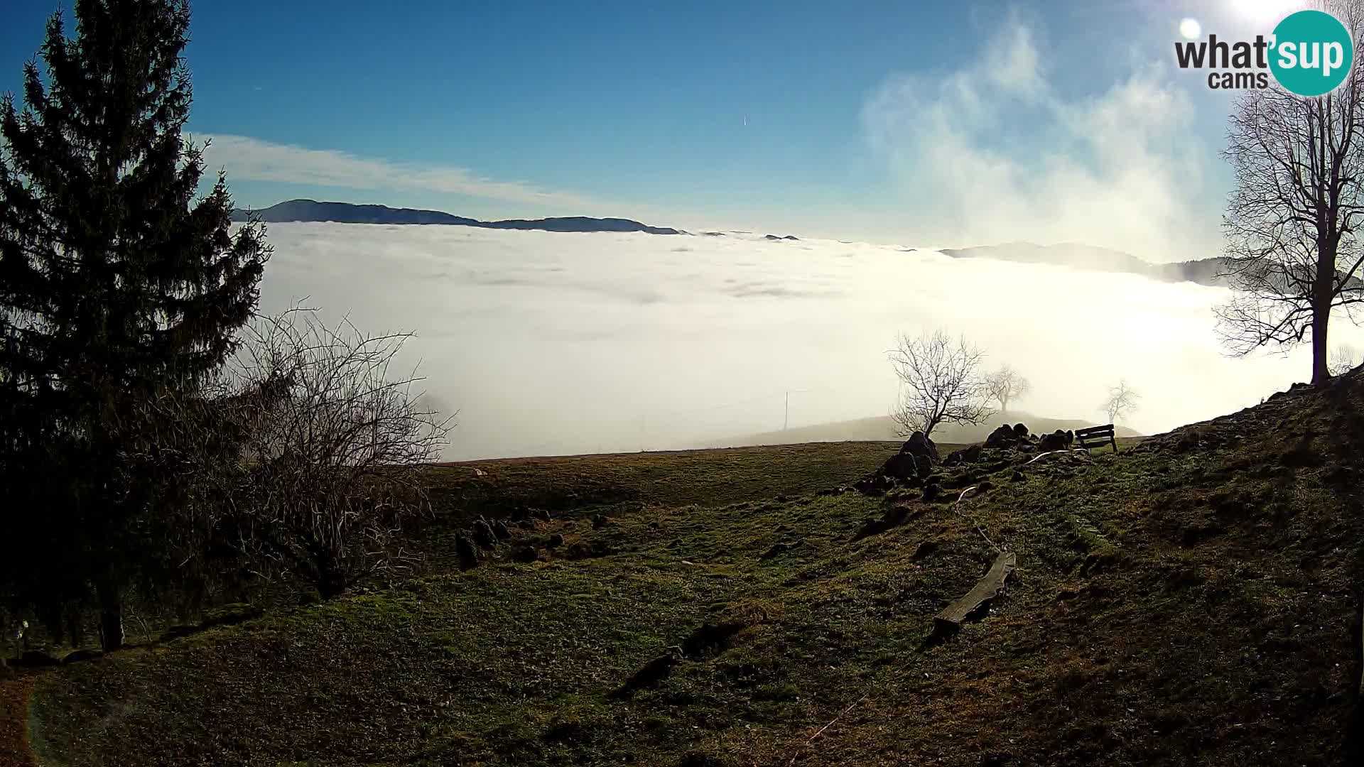 Slajka camera en vivo | Gorenja Vas | Eslovenia