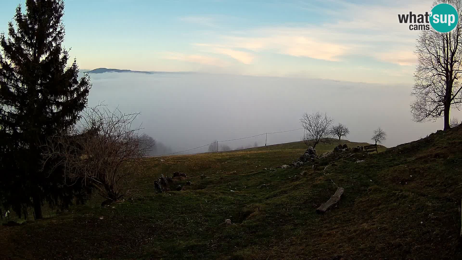 Slajka webam | Gorenja vas | Slovenia