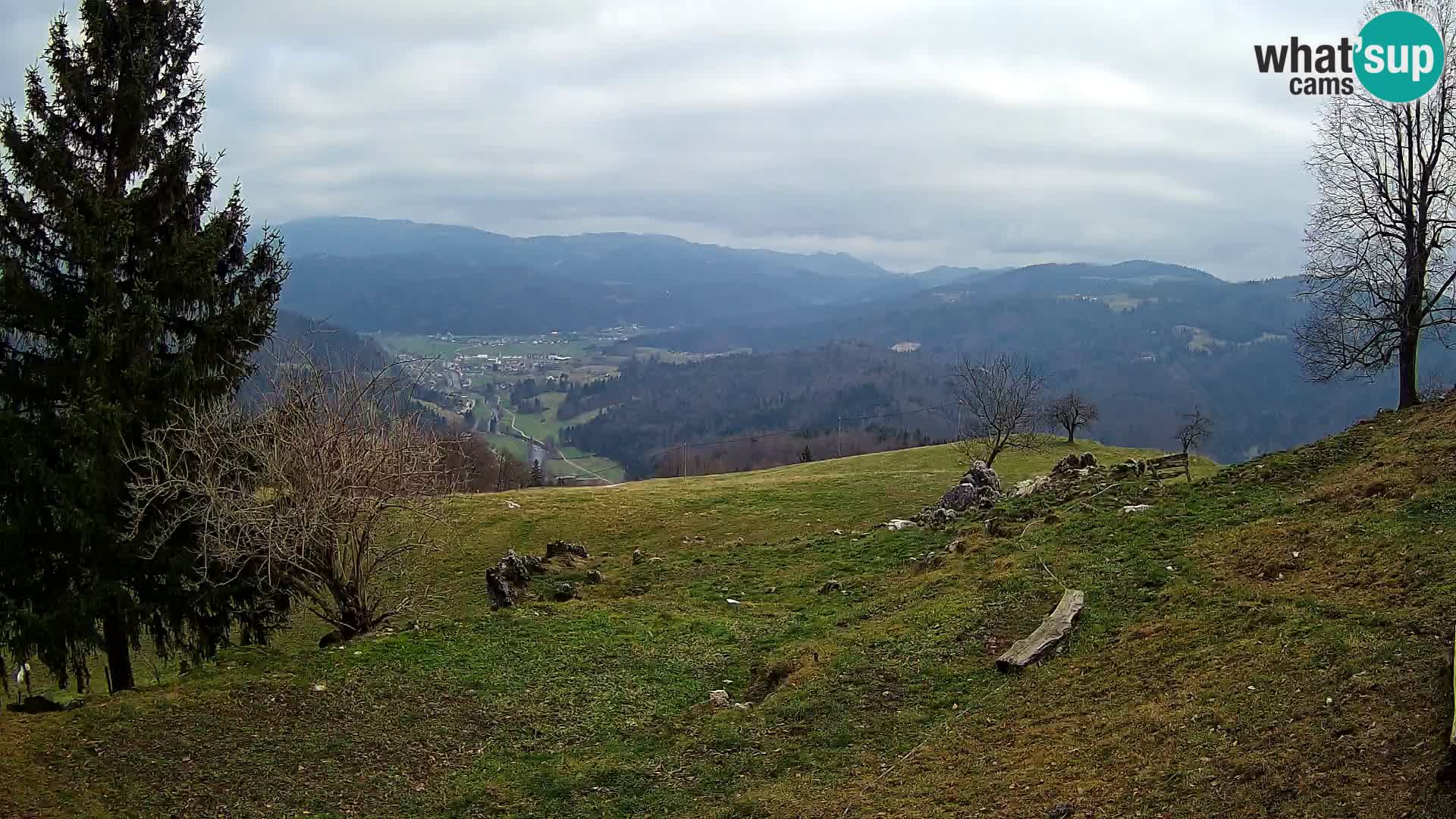 Slajka livecam | Gorenja Vas | Slovénie