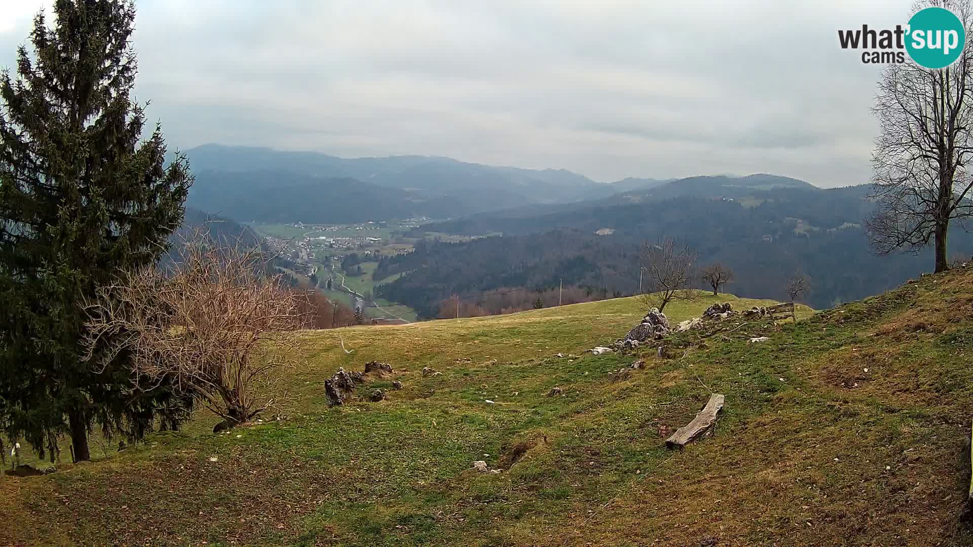 Slajka livecam | Gorenja Vas | Slovénie