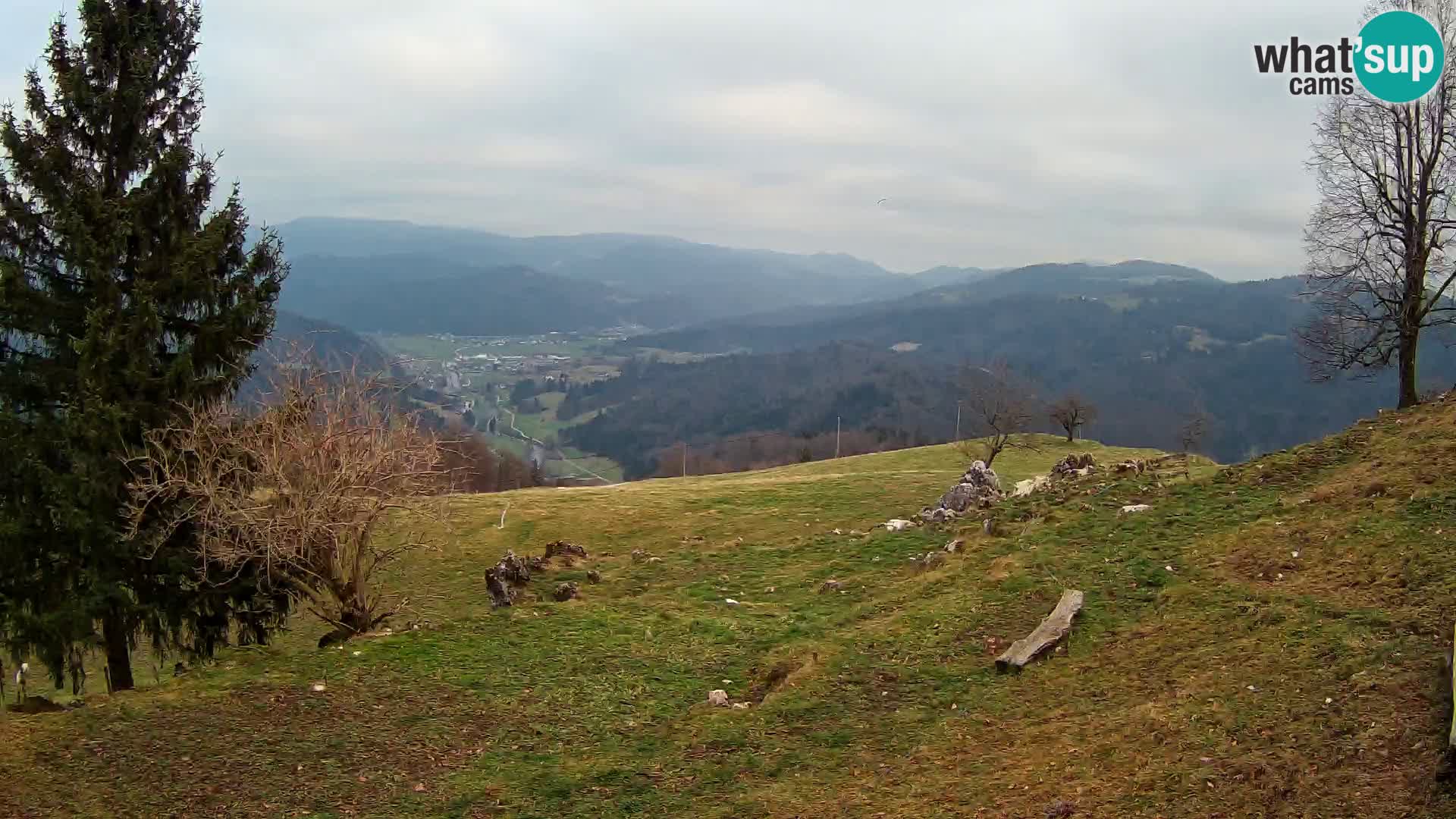 Spletna kamera Slajka | Gorenja vas