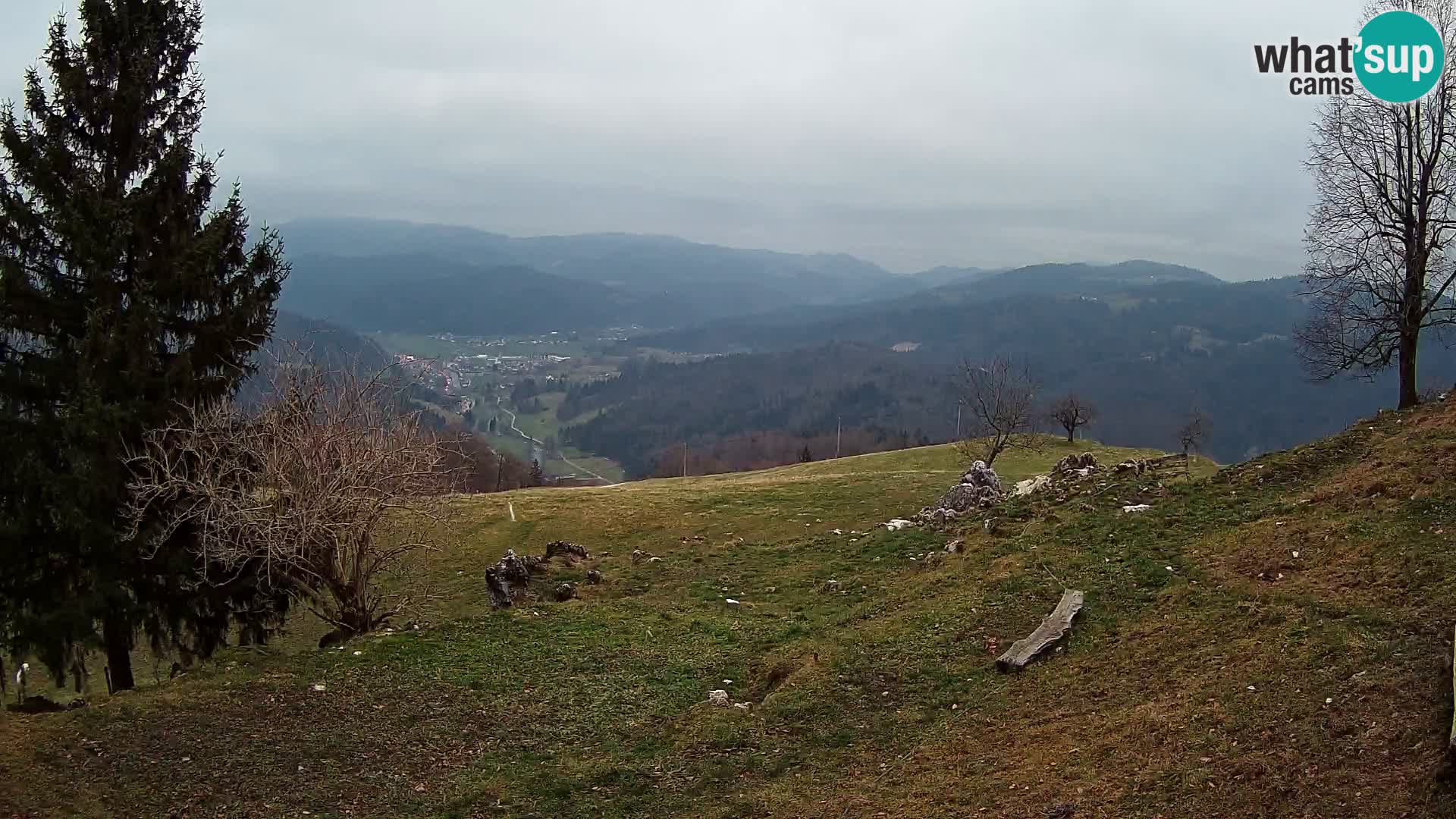 Slajka webcam | Gorenja Vas | Slowenien