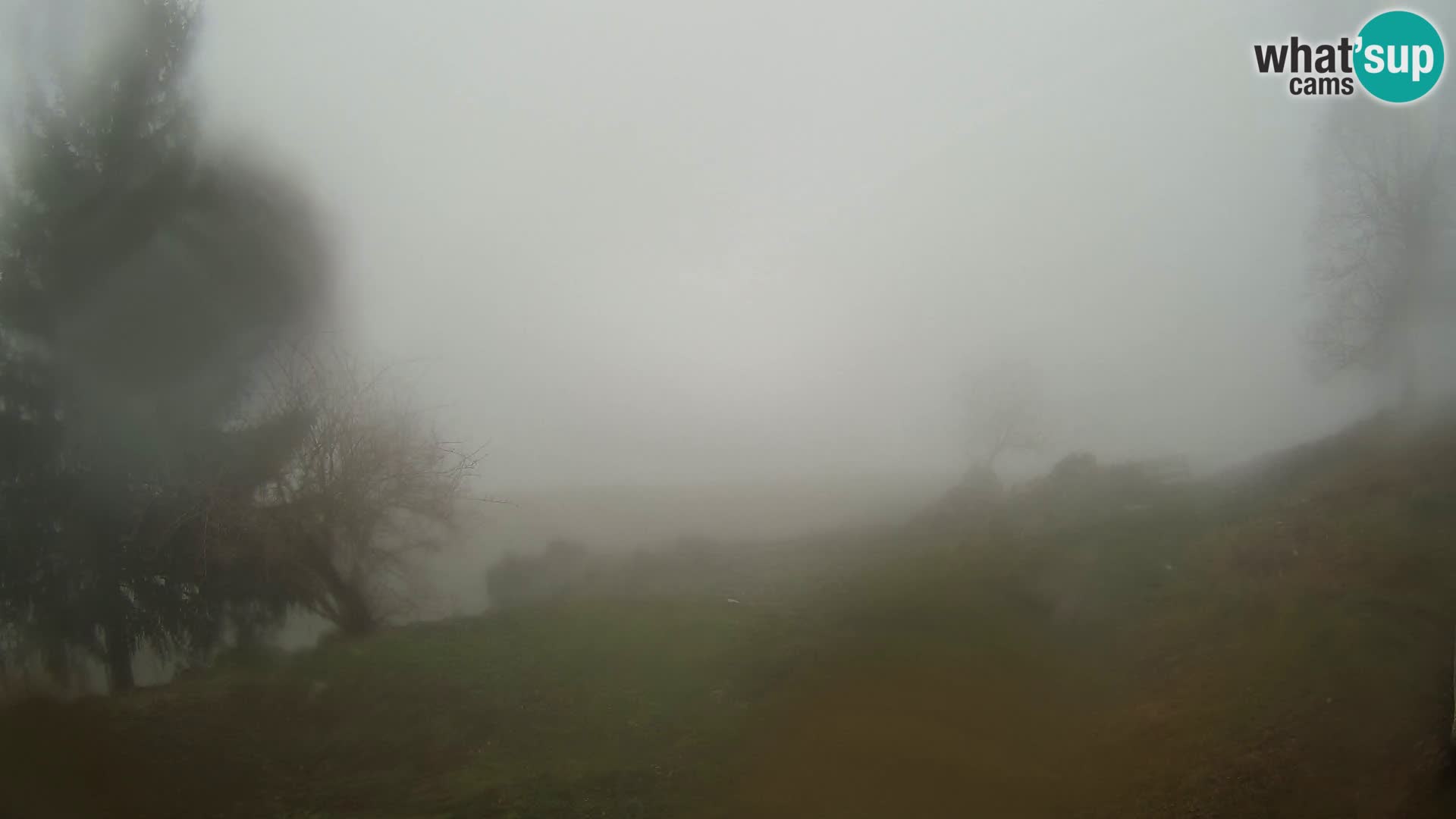 Slajka livecam | Gorenja Vas | Slovénie