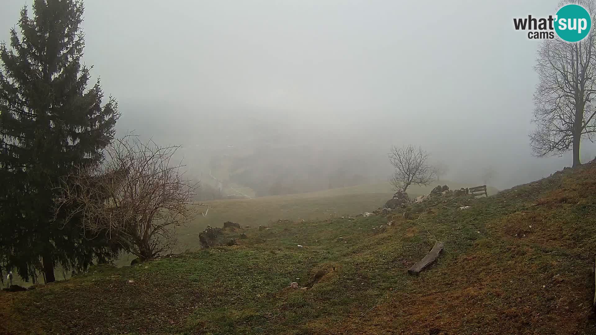 Spletna kamera Slajka | Gorenja vas