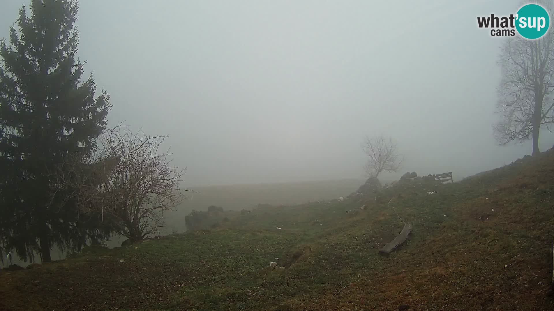 Slajka webam | Gorenja vas | Slovenia