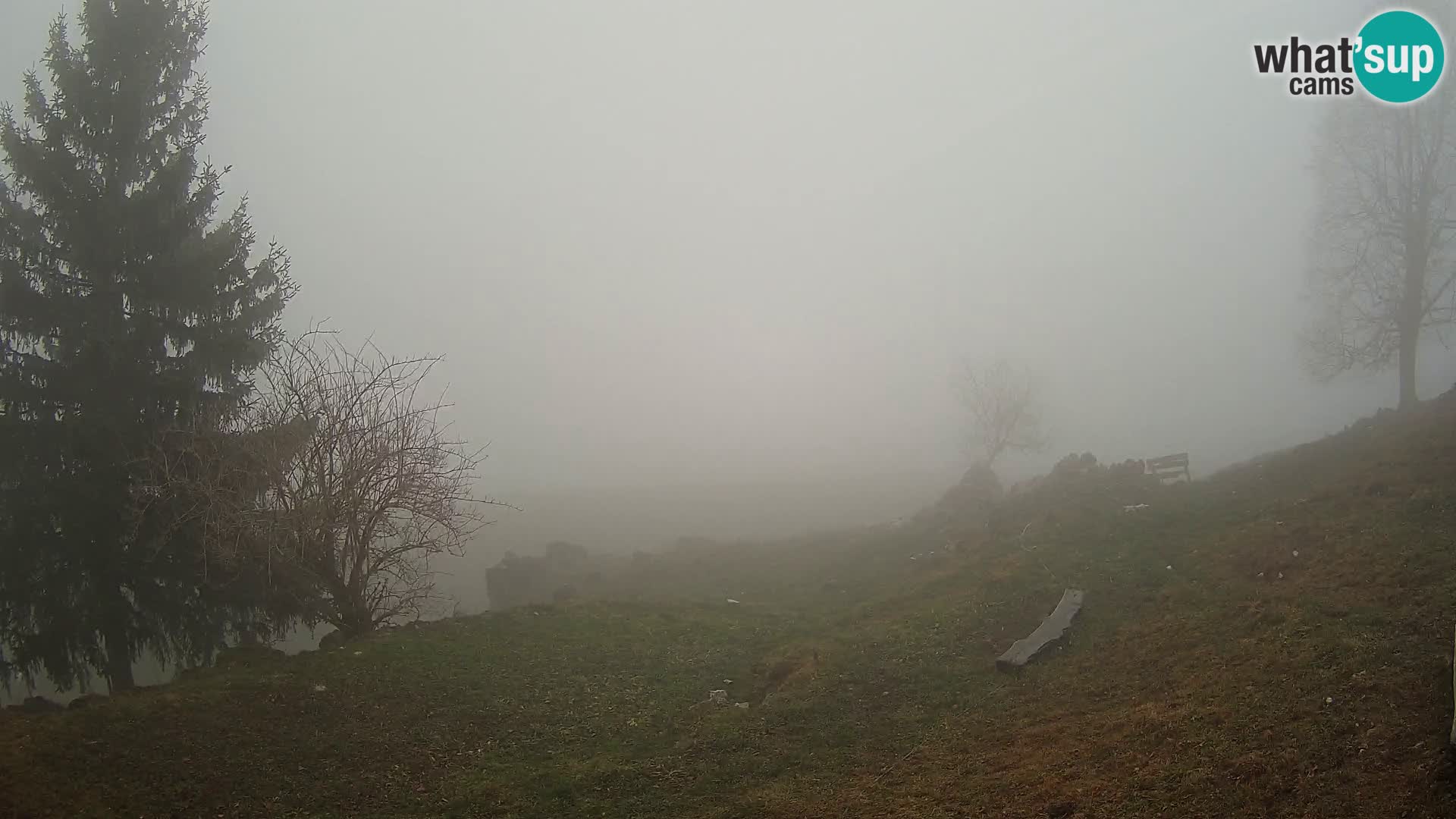 Slajka web kamera | Gorenja Vas | Slovenija