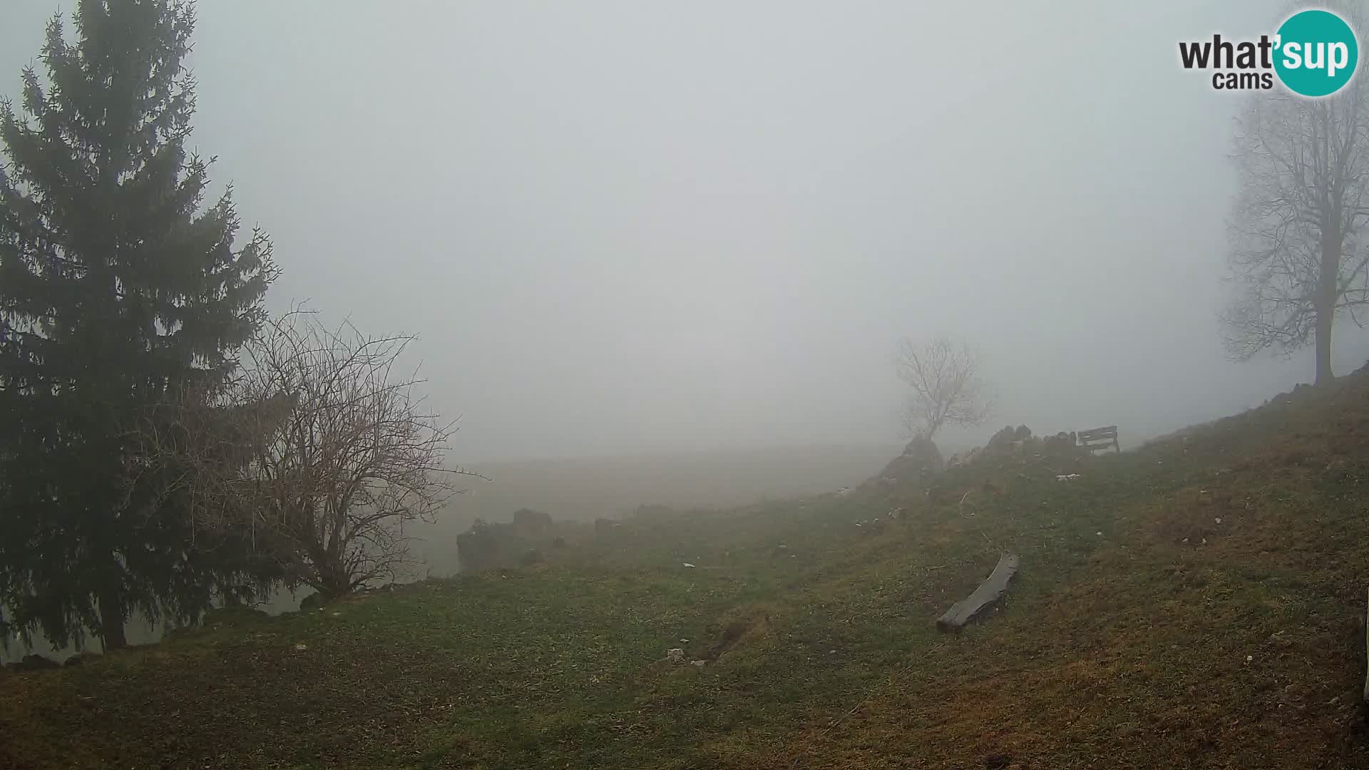 Slajka web kamera | Gorenja Vas | Slovenija