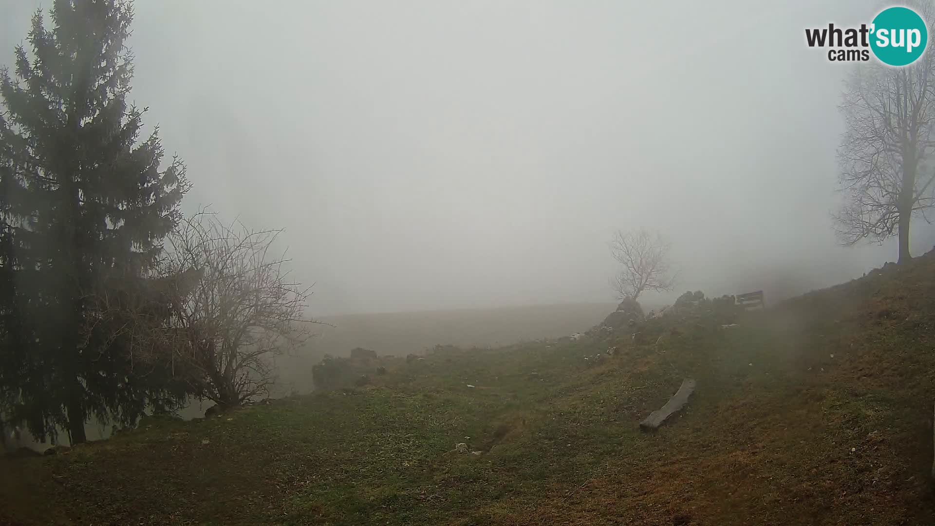 Slajka web kamera | Gorenja Vas | Slovenija