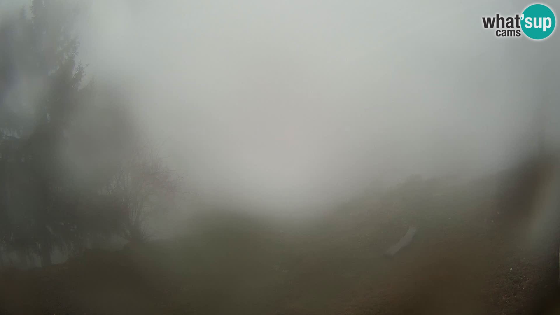 Slajka webam | Gorenja vas | Slovenia