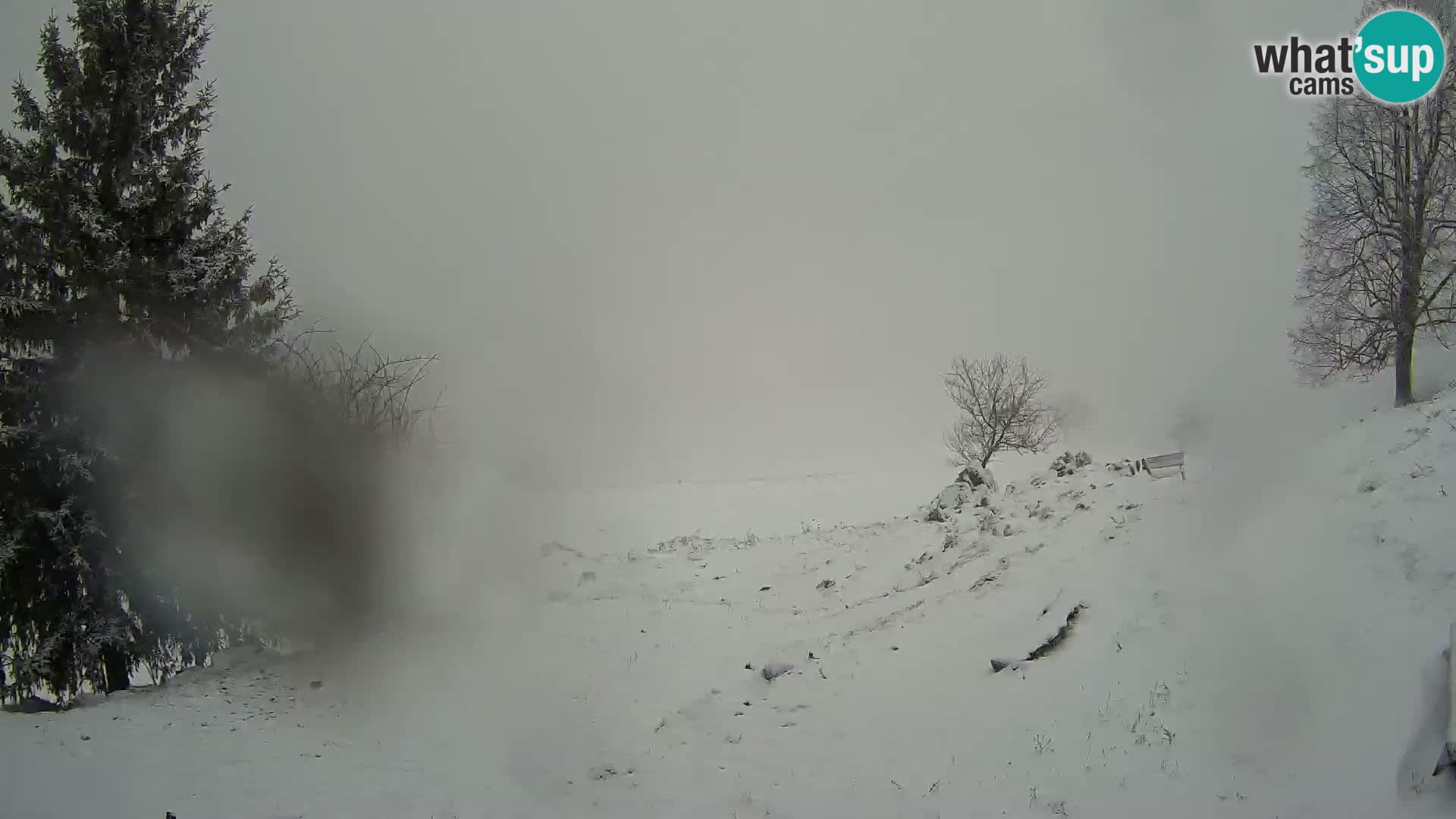 Slajka webam | Gorenja vas | Slovenia