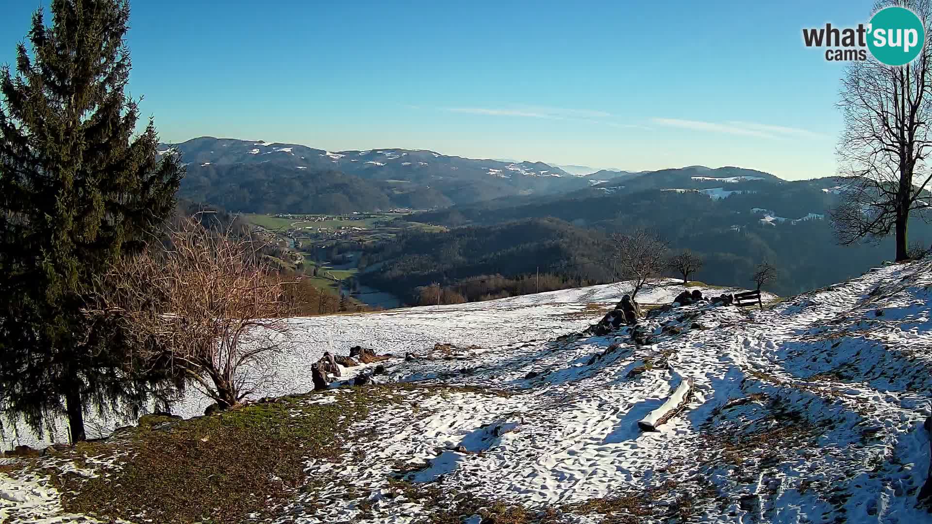 Slajka camera en vivo | Gorenja Vas | Eslovenia