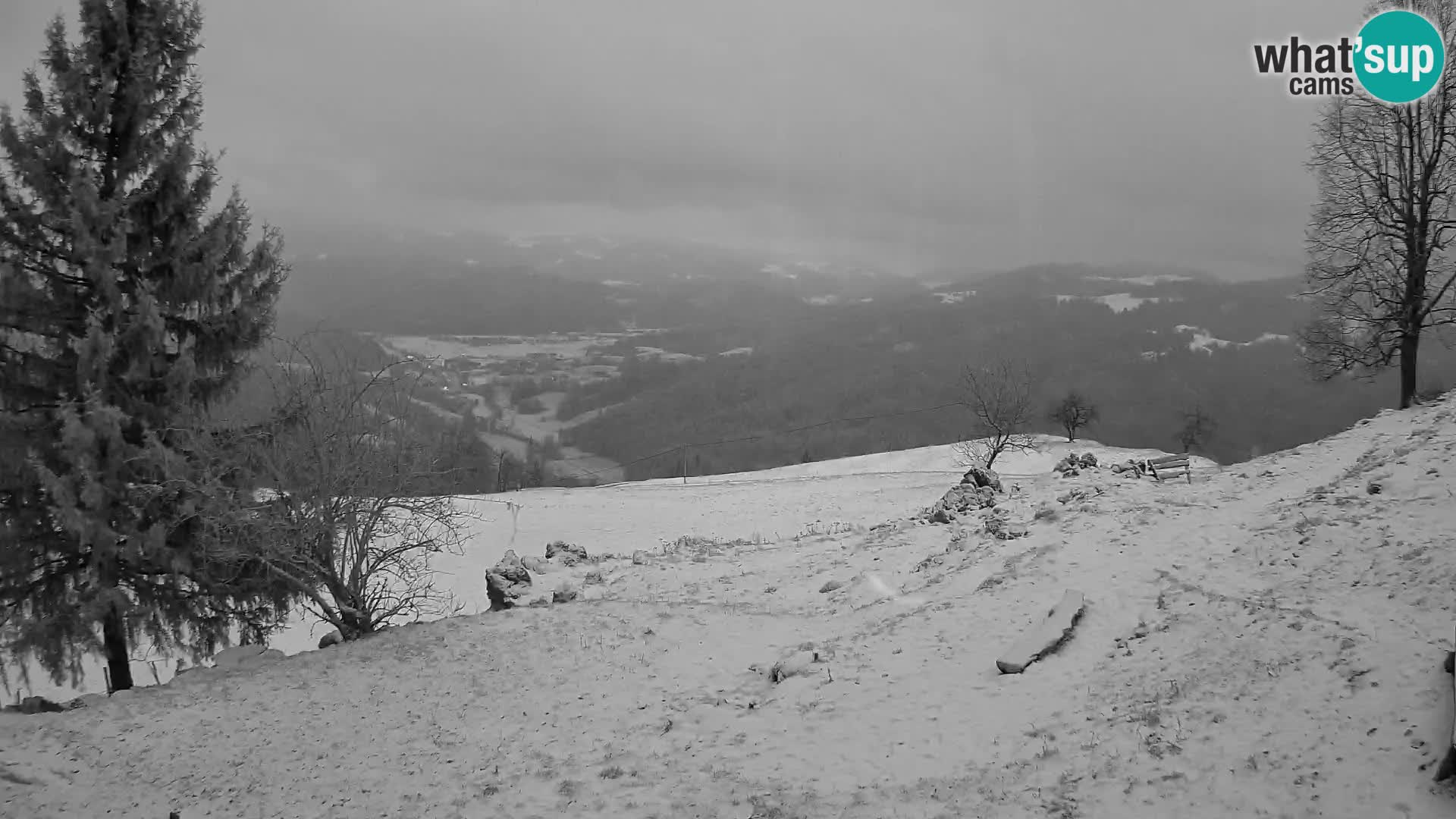 Slajka camera en vivo | Gorenja Vas | Eslovenia