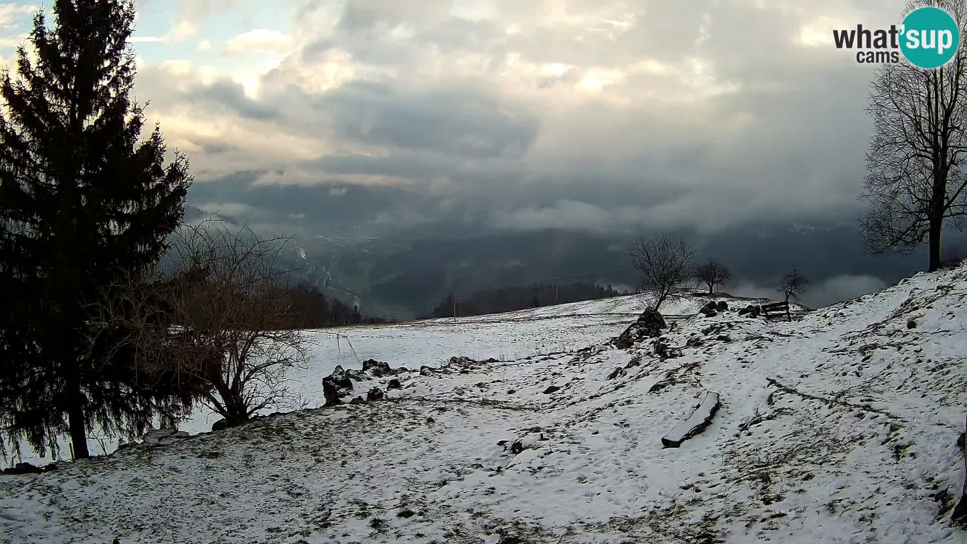 Slajka webam | Gorenja vas | Slovenia