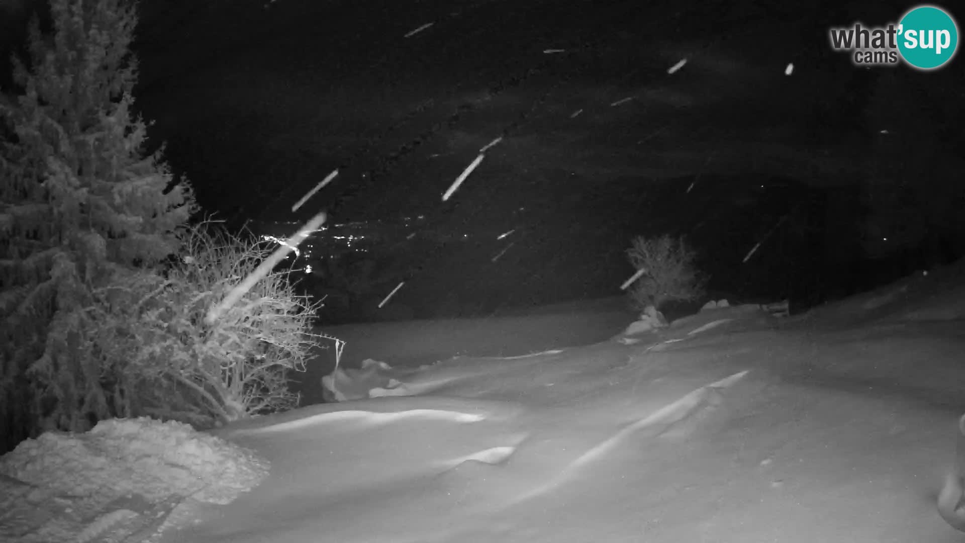 Slajka livecam | Gorenja Vas | Slovénie