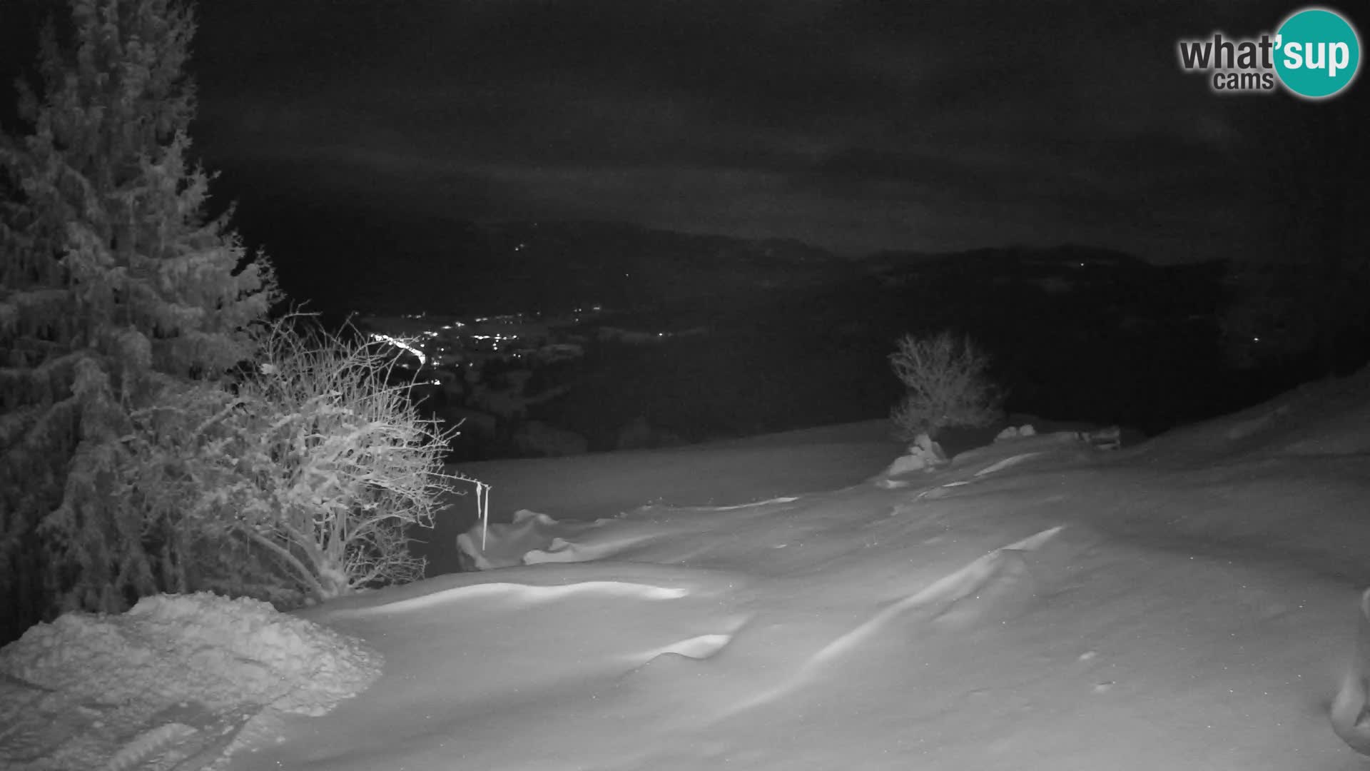 Slajka livecam | Gorenja Vas | Slovénie