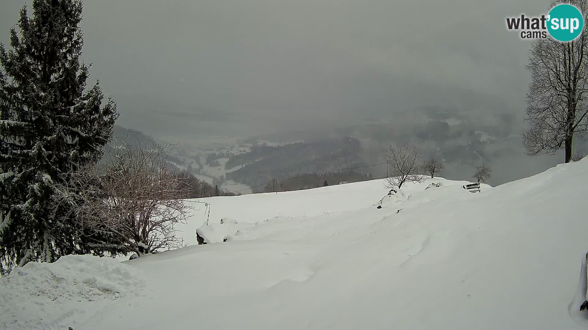 Spletna kamera Slajka | Gorenja vas