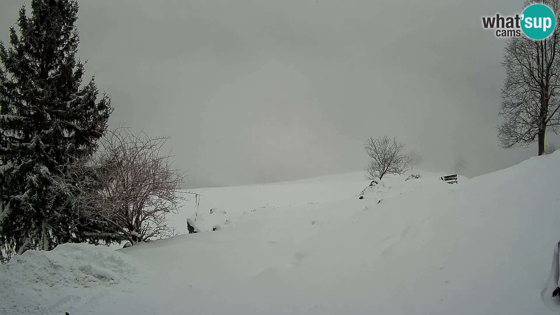 Spletna kamera Slajka | Gorenja vas