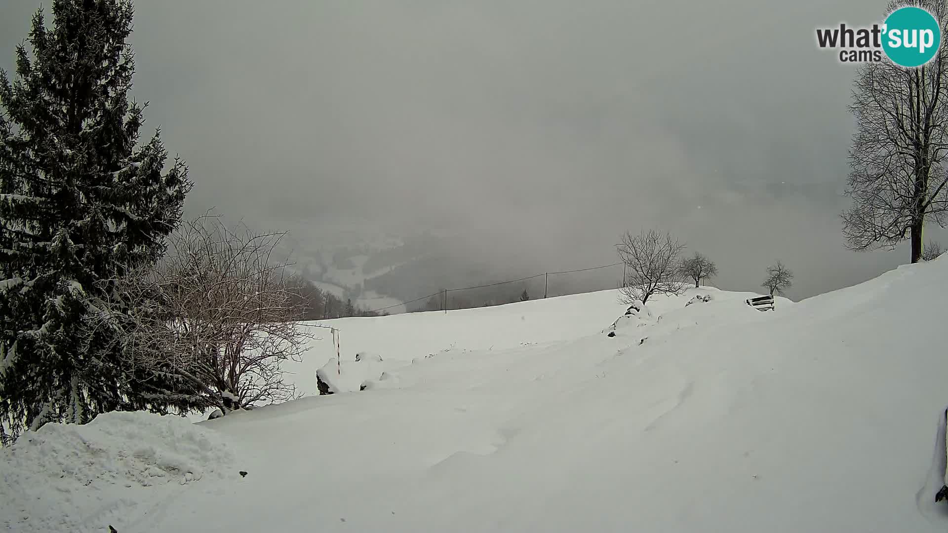 Slajka webam | Gorenja vas | Slovenia