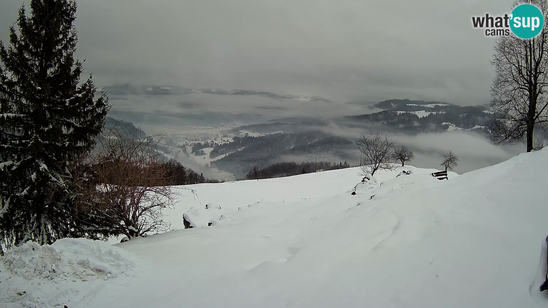 Spletna kamera Slajka | Gorenja vas