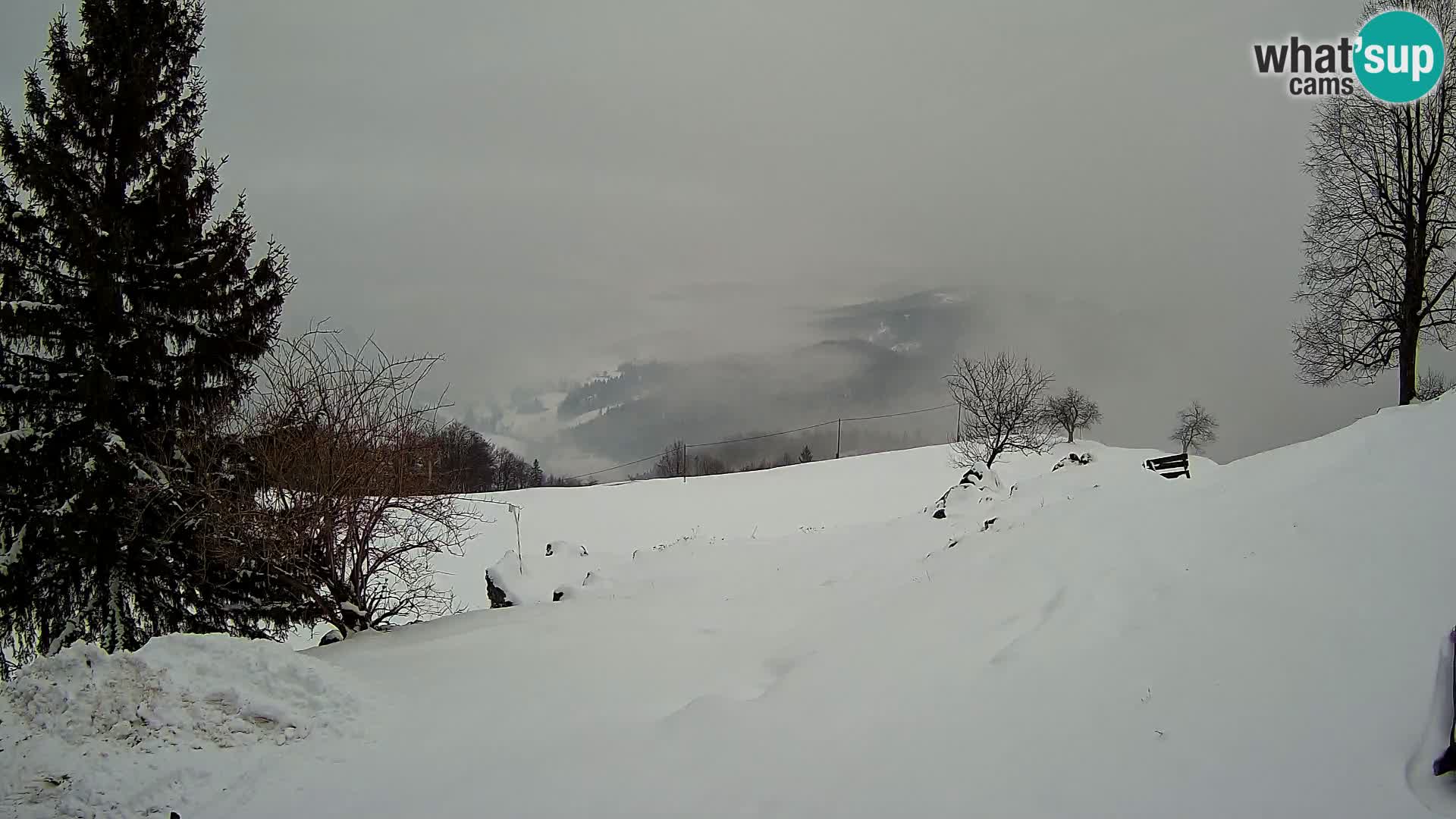 Slajka web kamera | Gorenja Vas | Slovenija