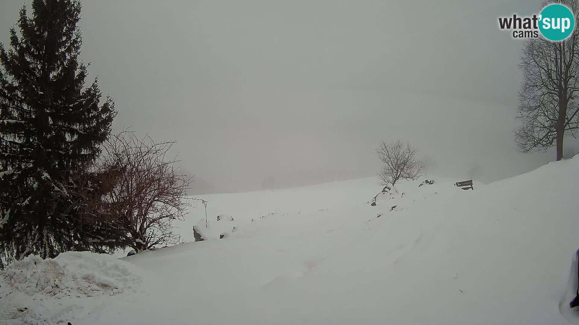 Slajka webam | Gorenja vas | Slovenia