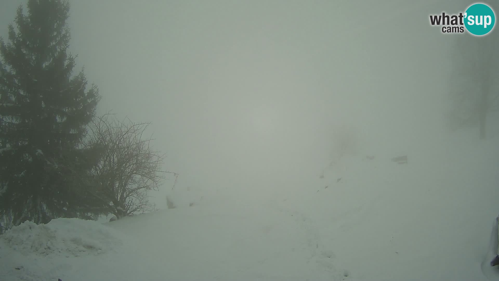 Slajka webam | Gorenja vas | Slovenia