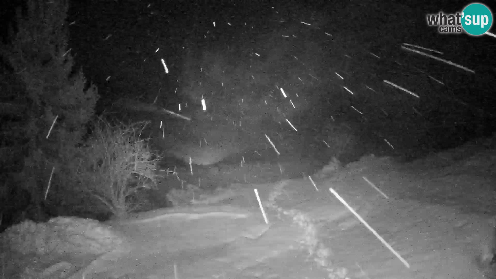 Slajka camera en vivo | Gorenja Vas | Eslovenia