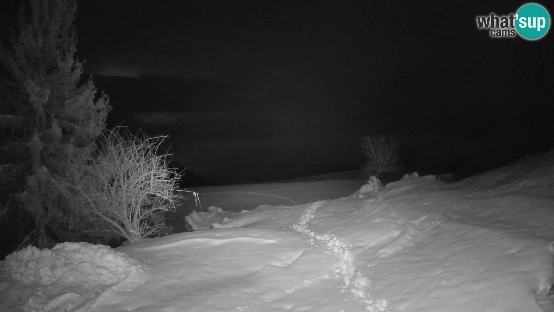 Slajka camera en vivo | Gorenja Vas | Eslovenia