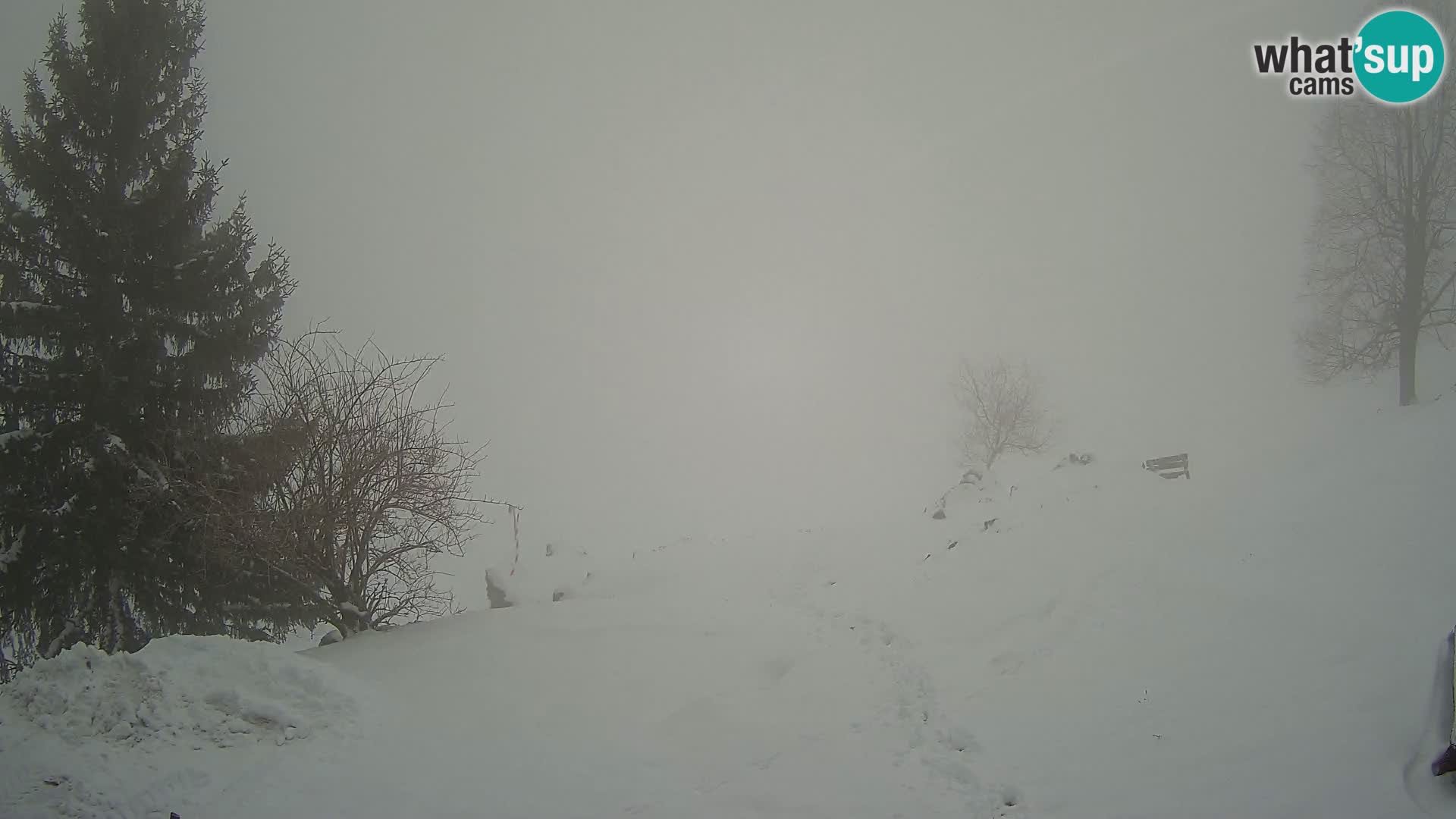 Slajka livecam | Gorenja Vas | Slovénie