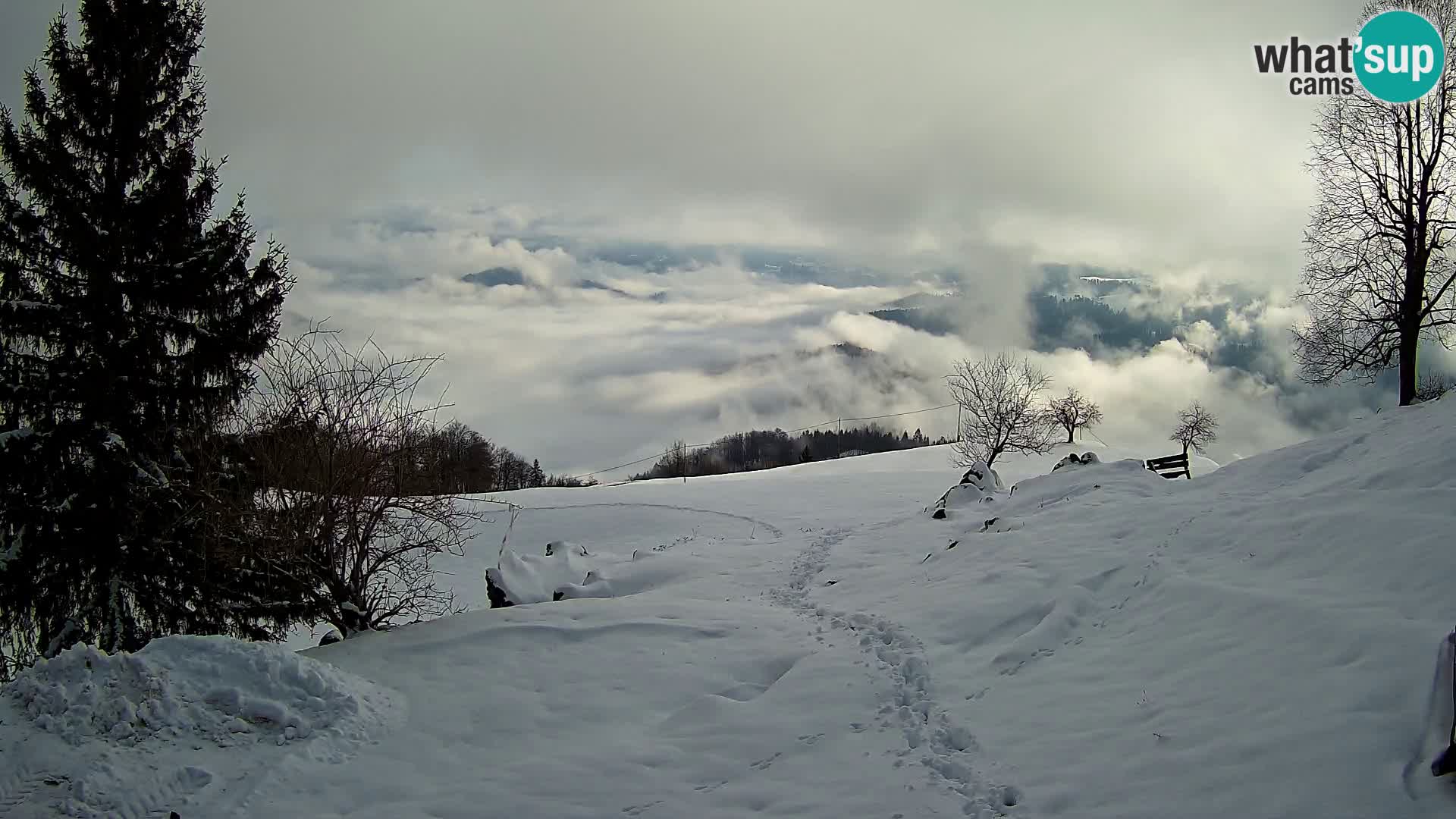 Slajka webam | Gorenja vas | Slovenia