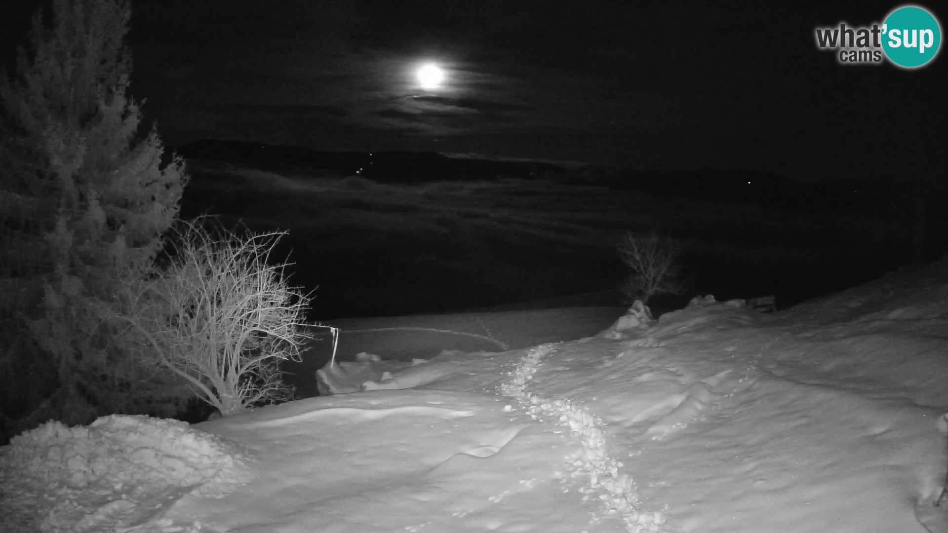 Slajka livecam | Gorenja Vas | Slovénie