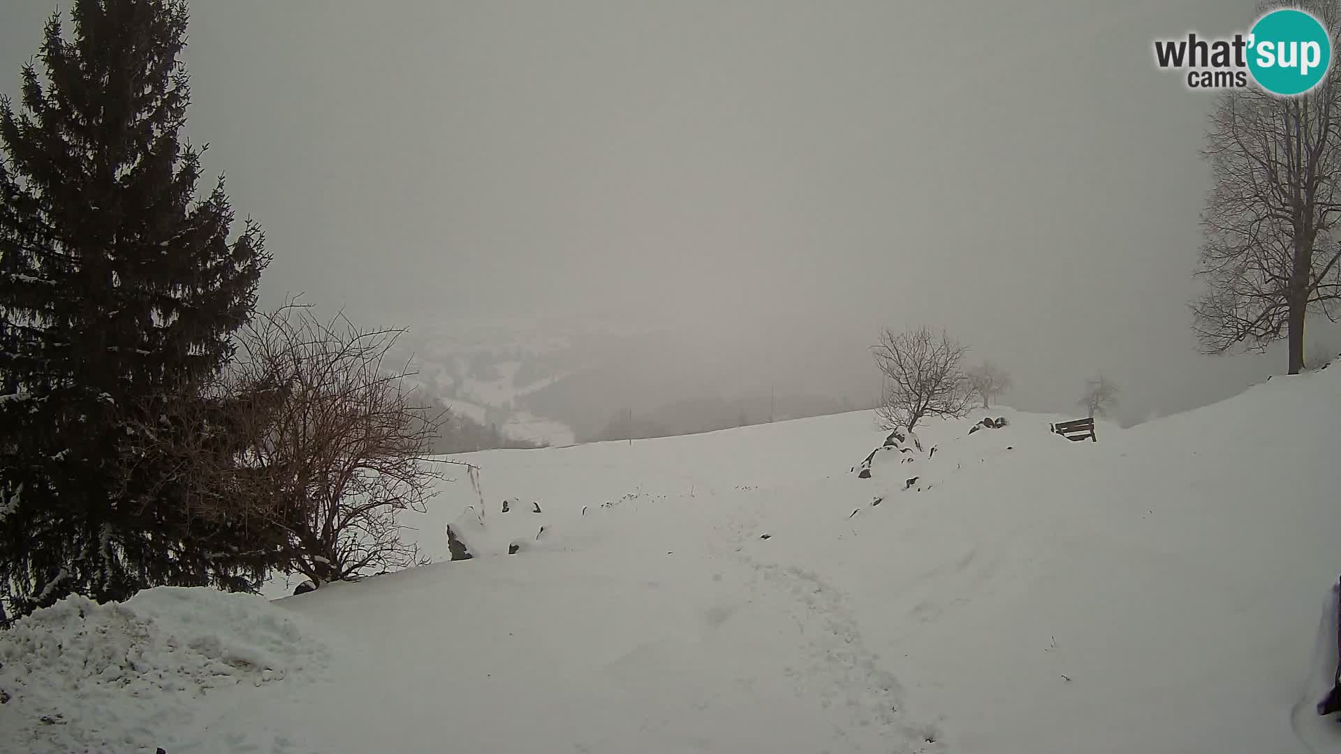 Spletna kamera Slajka | Gorenja vas