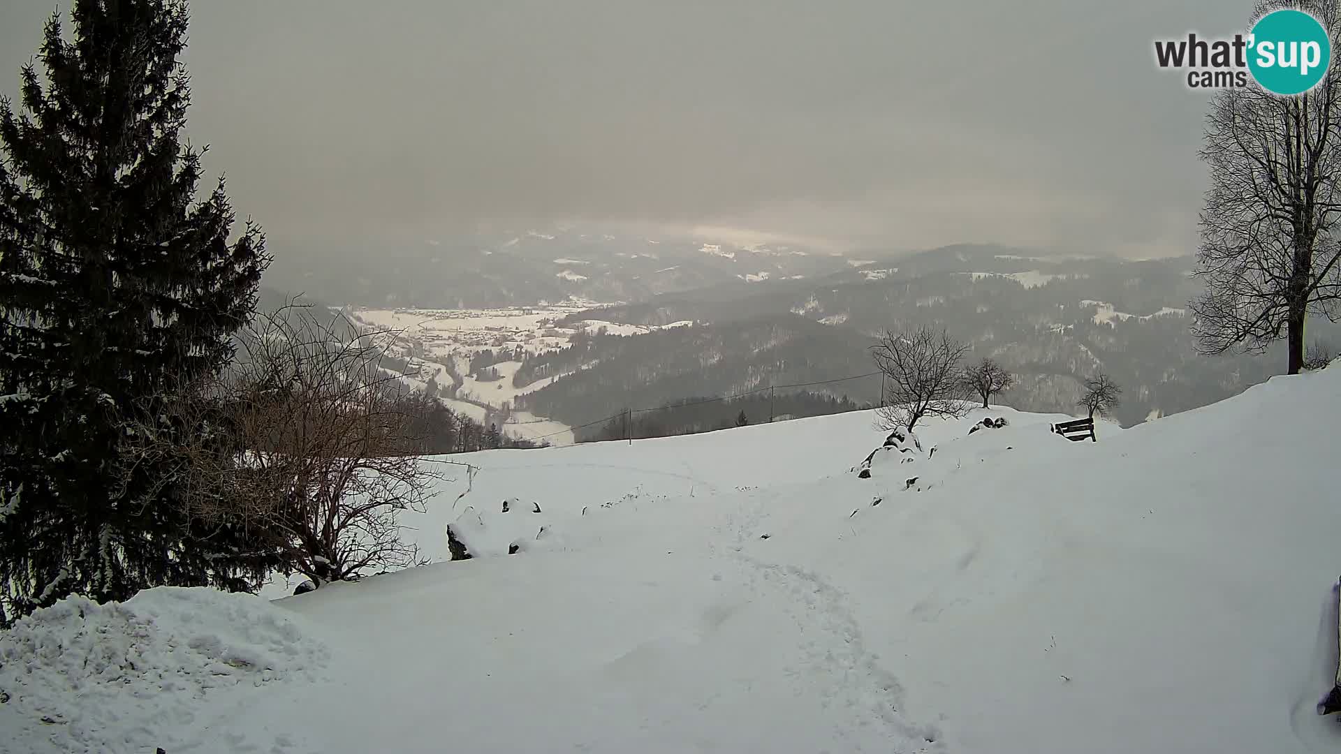 Slajka camera en vivo | Gorenja Vas | Eslovenia