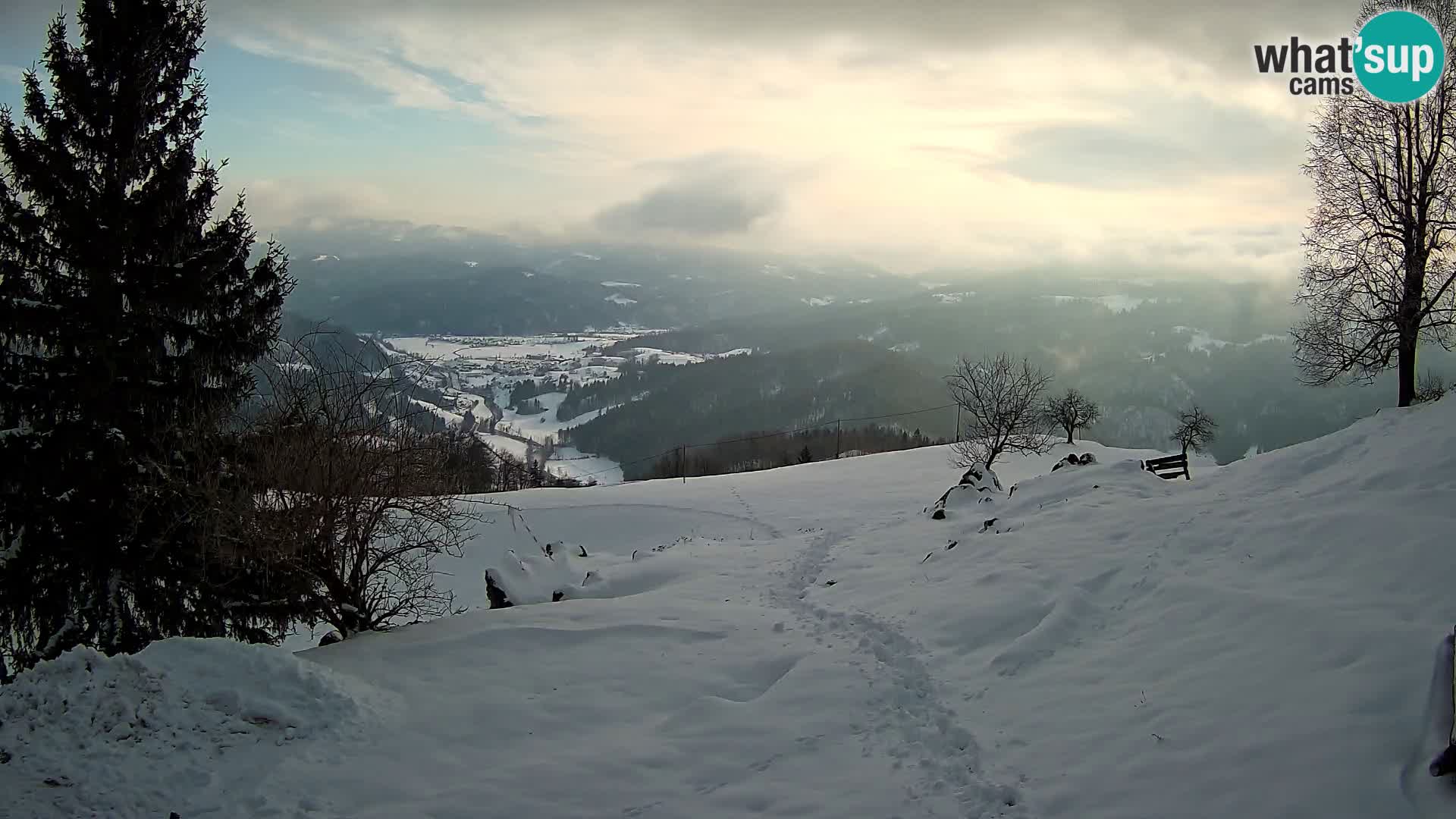 Slajka livecam | Gorenja Vas | Slovénie