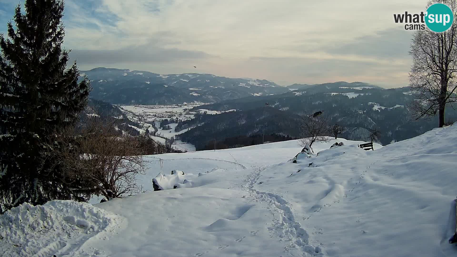 Webcam Slajka | Gorenja vas | Slovenia