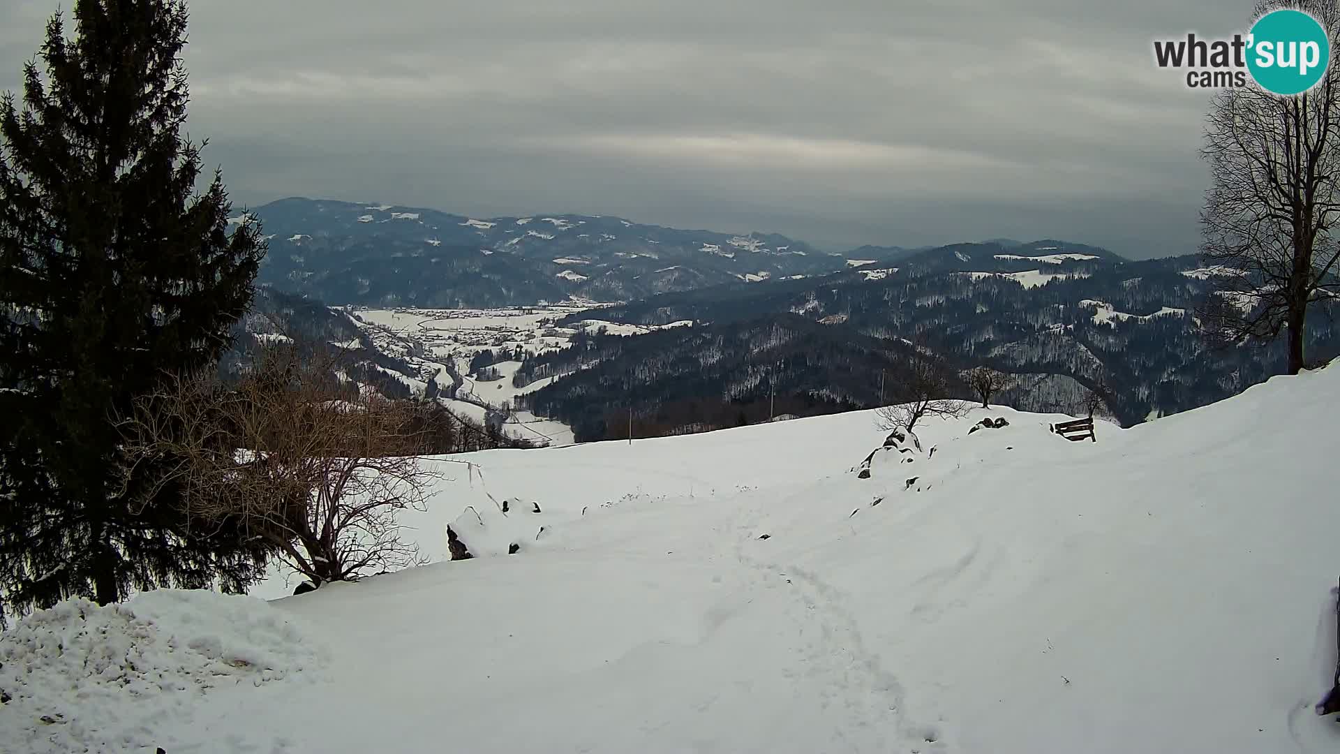 Slajka camera en vivo | Gorenja Vas | Eslovenia