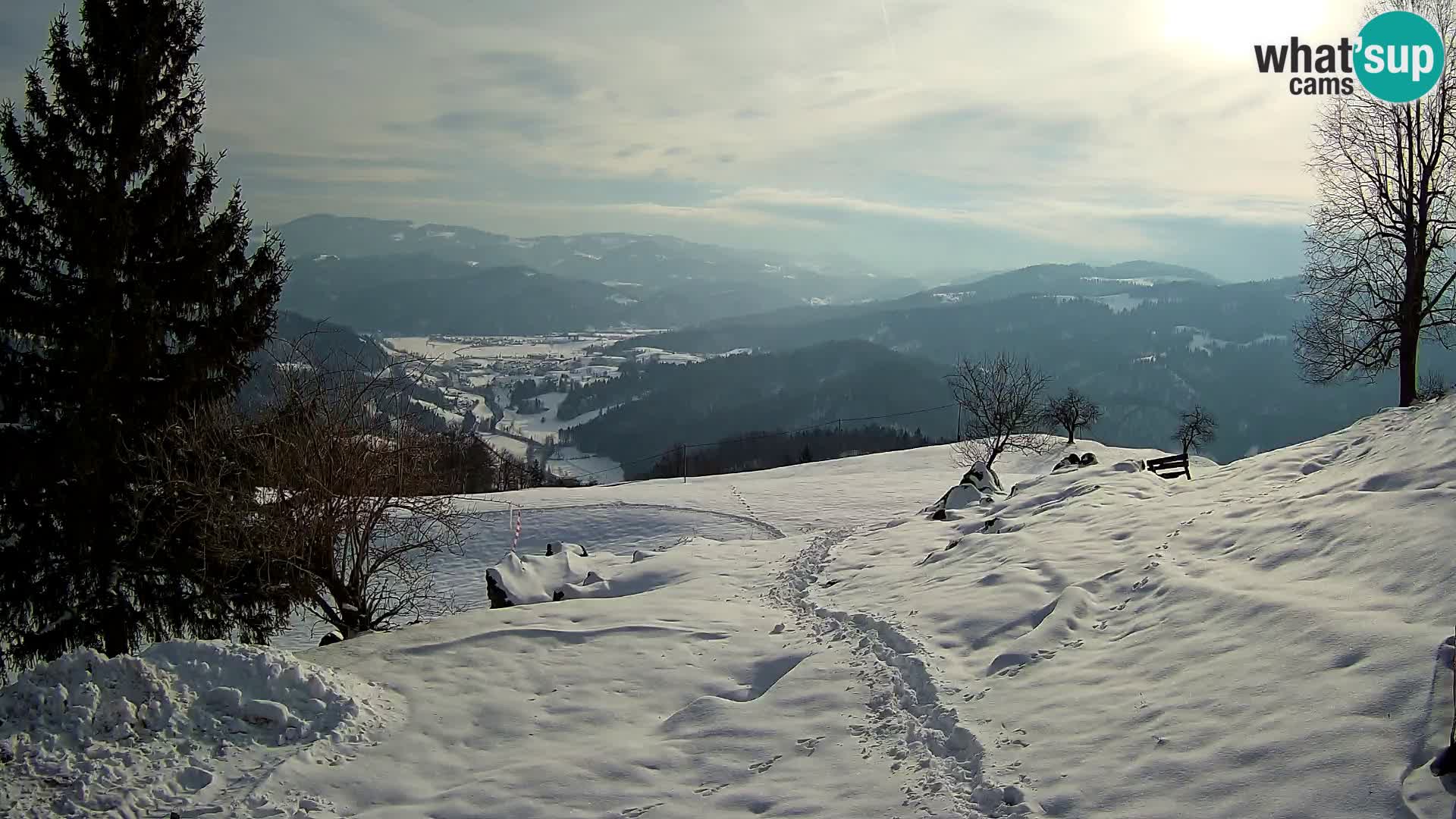 Slajka livecam | Gorenja Vas | Slovénie