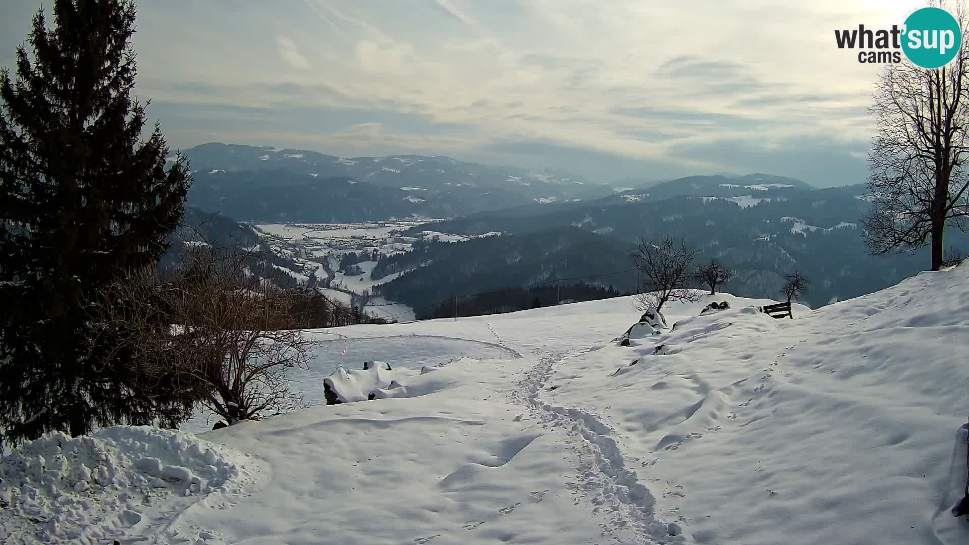 Slajka camera en vivo | Gorenja Vas | Eslovenia