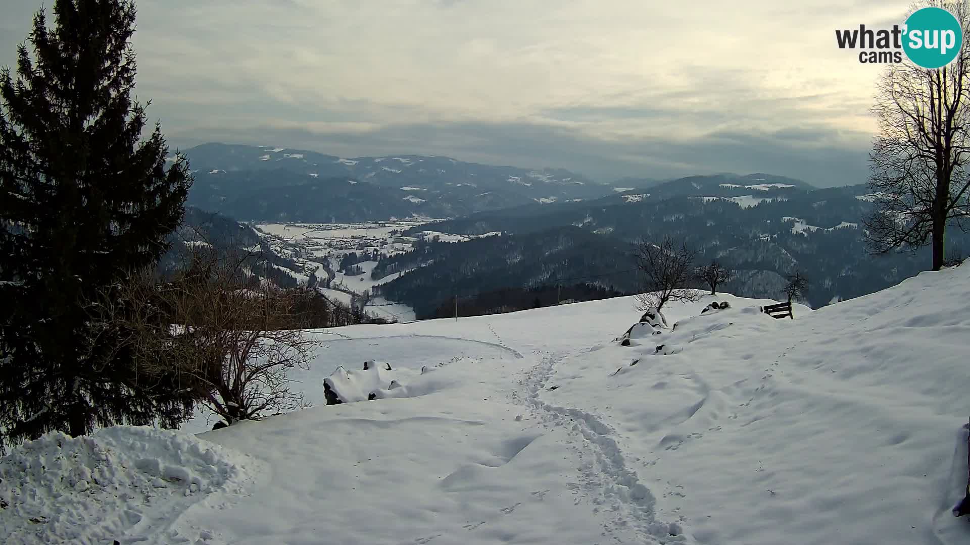 Slajka livecam | Gorenja Vas | Slovénie