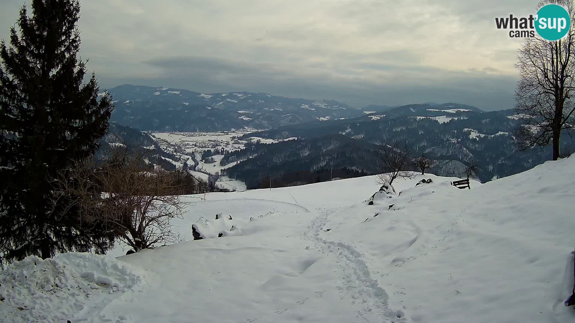 Slajka livecam | Gorenja Vas | Slovénie