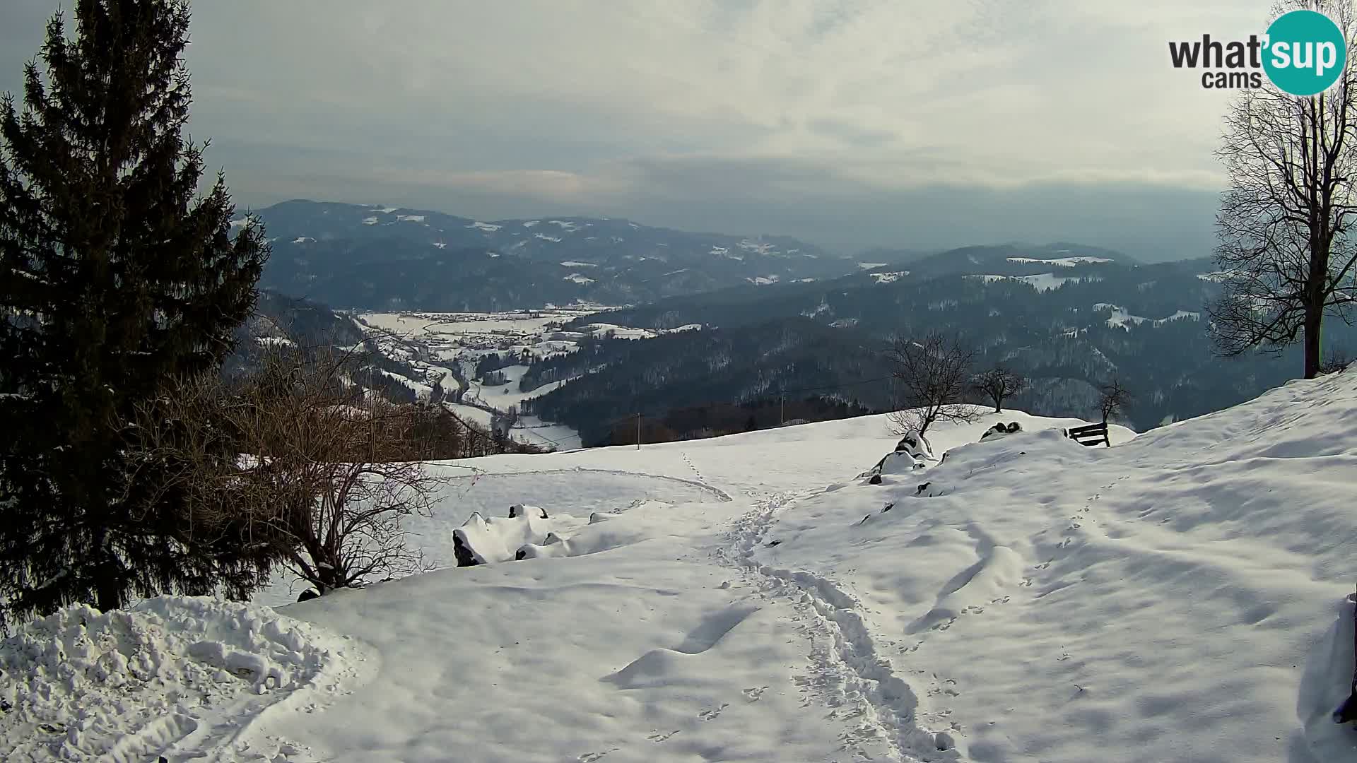 Slajka camera en vivo | Gorenja Vas | Eslovenia