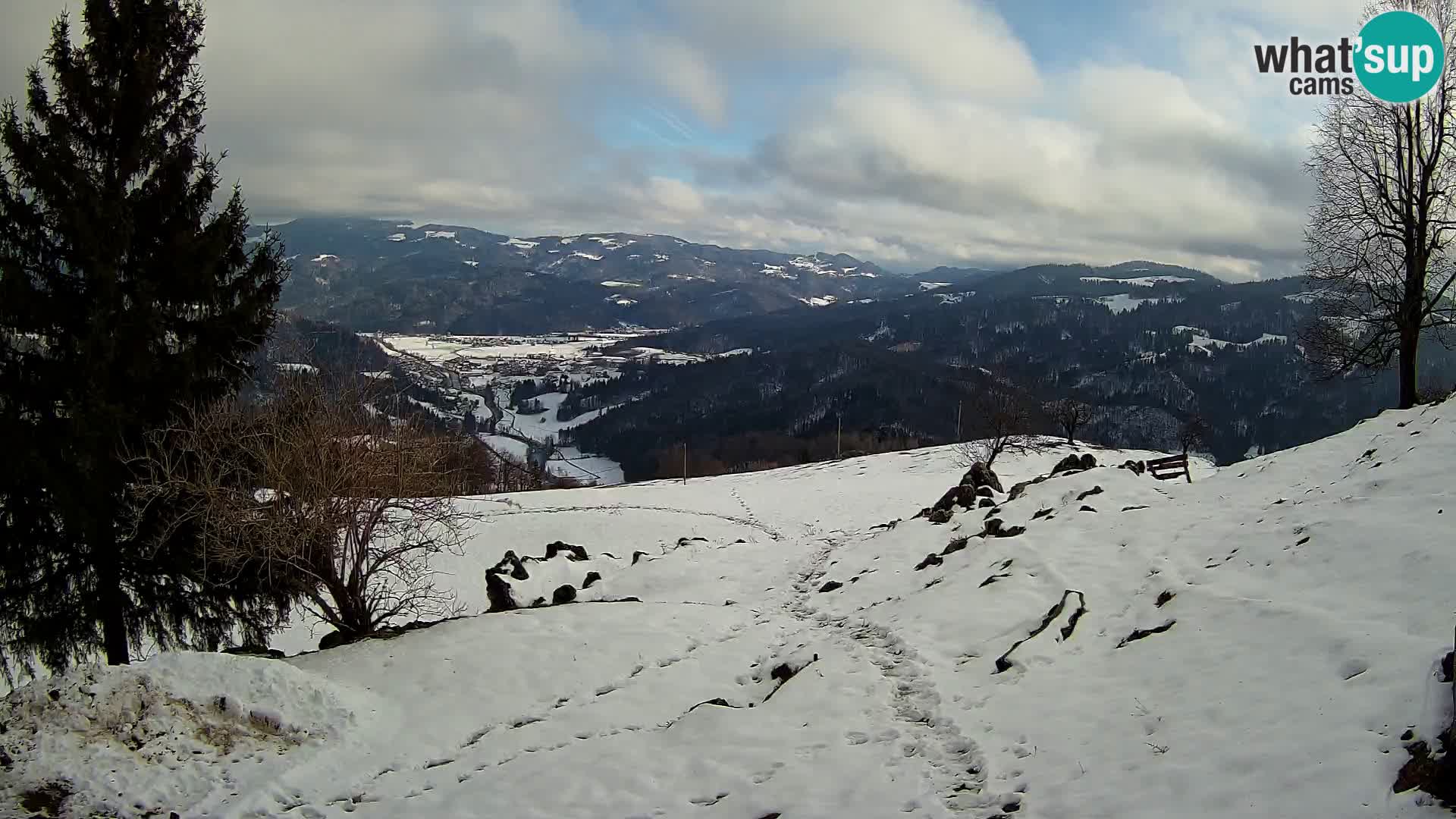 Slajka camera en vivo | Gorenja Vas | Eslovenia