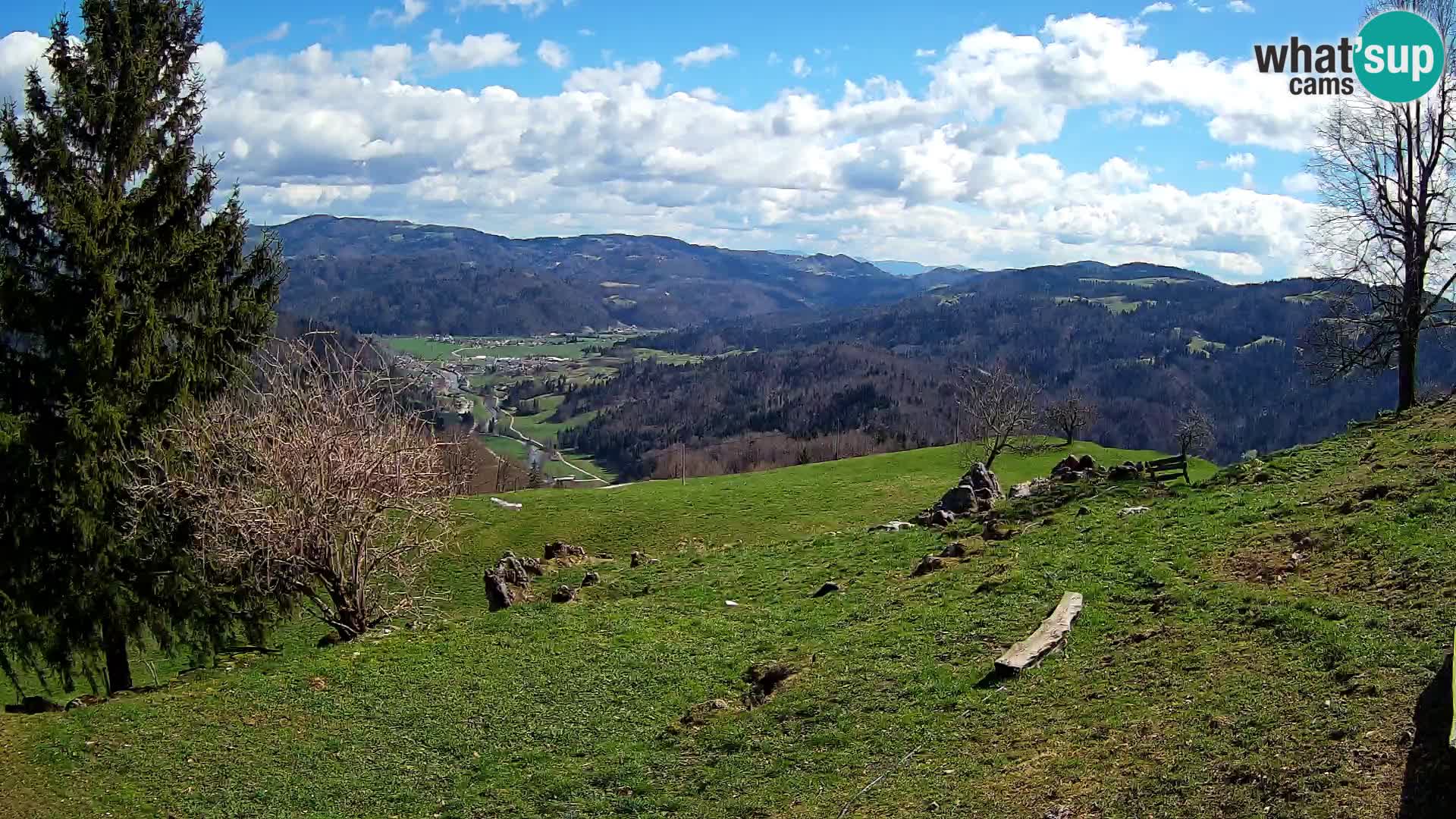 Slajka livecam | Gorenja Vas | Slovénie