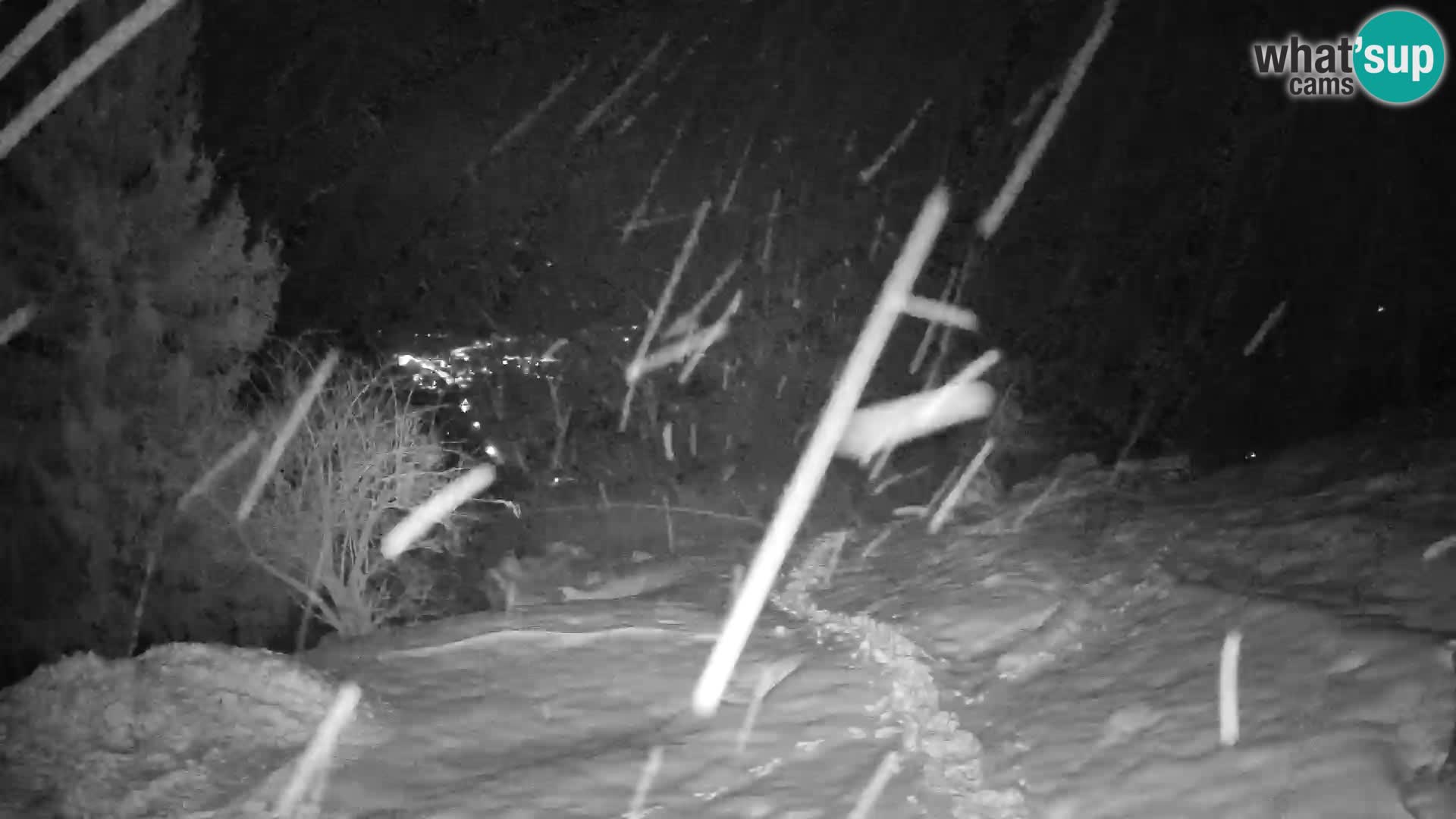 Slajka webcam | Gorenja Vas | Slowenien